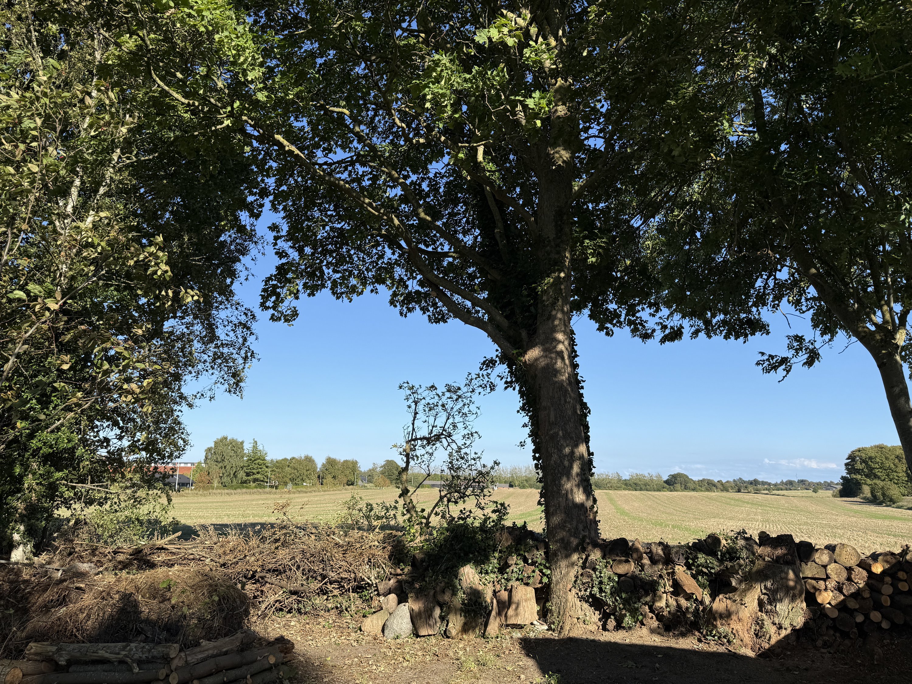 Fremhævet  billede i fuldskærmstilstand. Billede af Balshavevej 14, Over Randlev, 8300 Odder