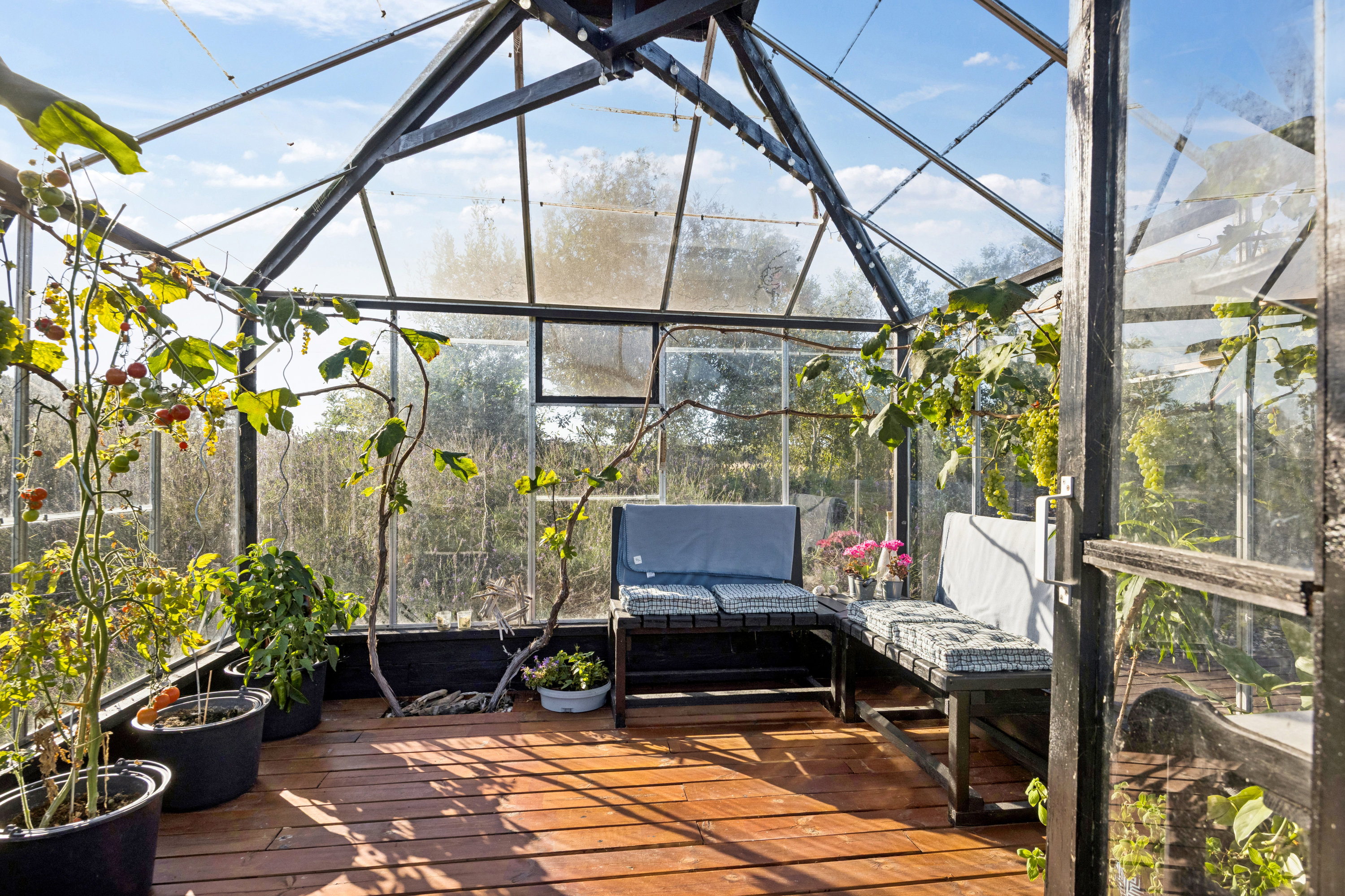 Fremhævet have billede i fuldskærmstilstand. Billede af Rødkløvervej 17, Hou, 9370 Hals