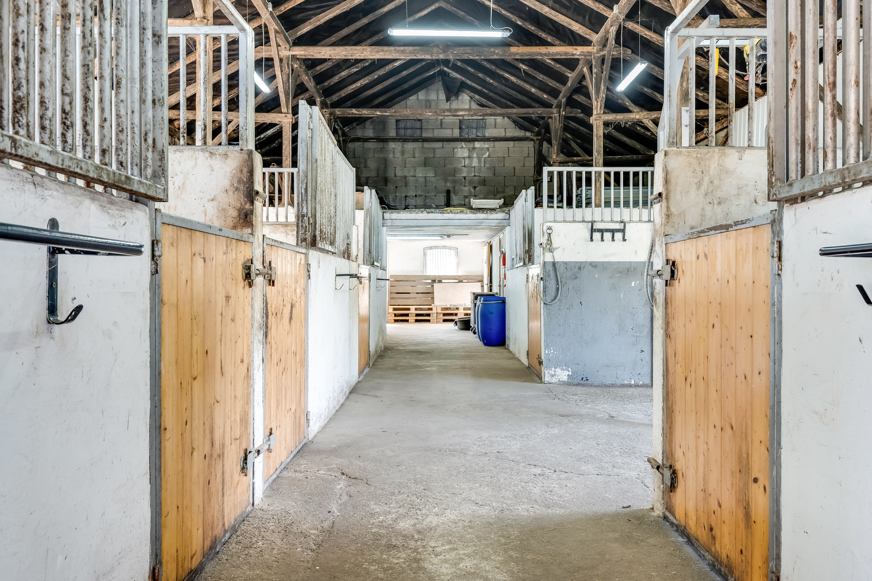 Fremhævet hestestald billede i fuldskærmstilstand. Billede af Søgårdsvej 18, Søgård, 6240 Løgumkloster