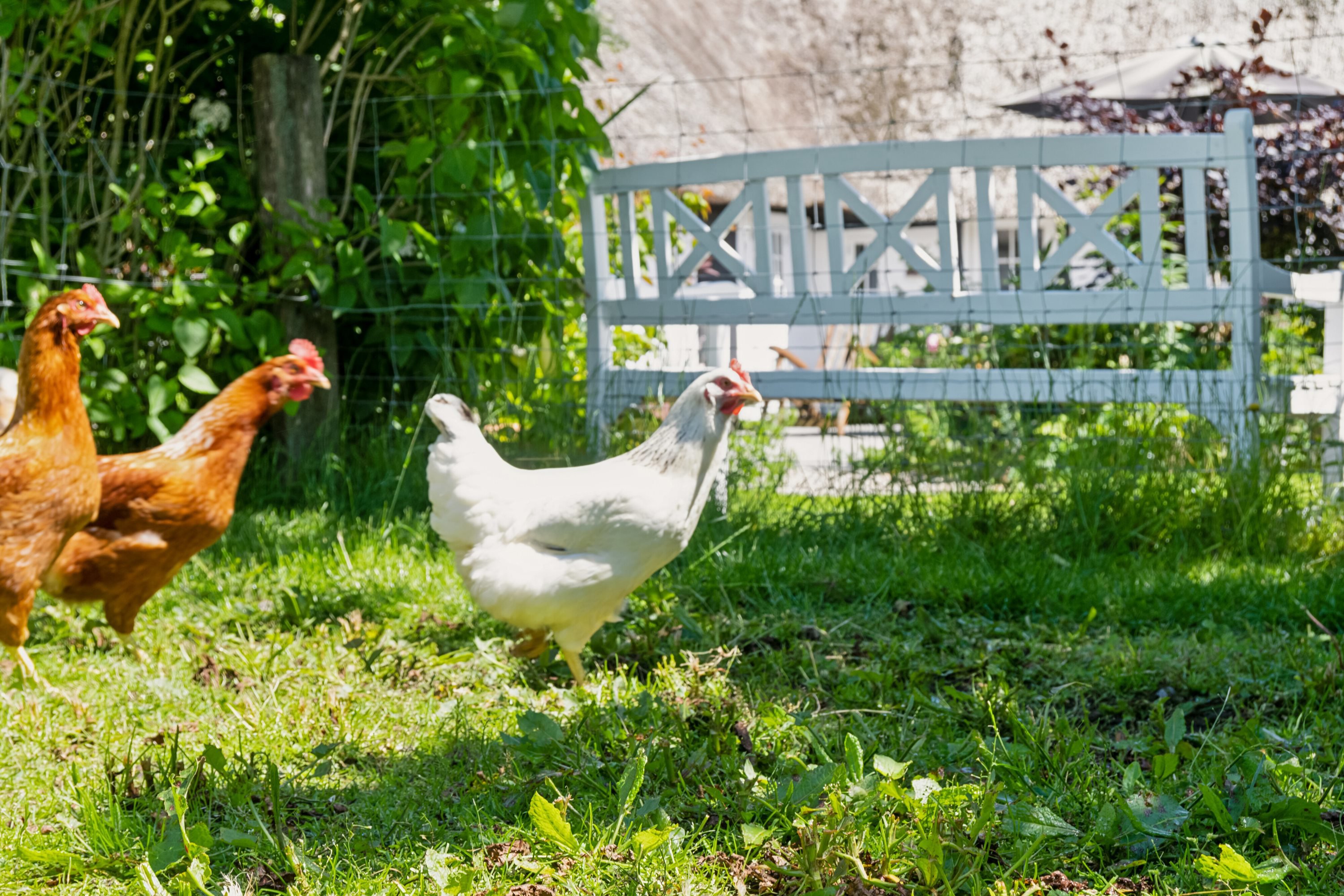 Fremhævet udendørs billede i fuldskærmstilstand. Billede af Skovballevej 94, Tåsinge, 5700 Svendborg