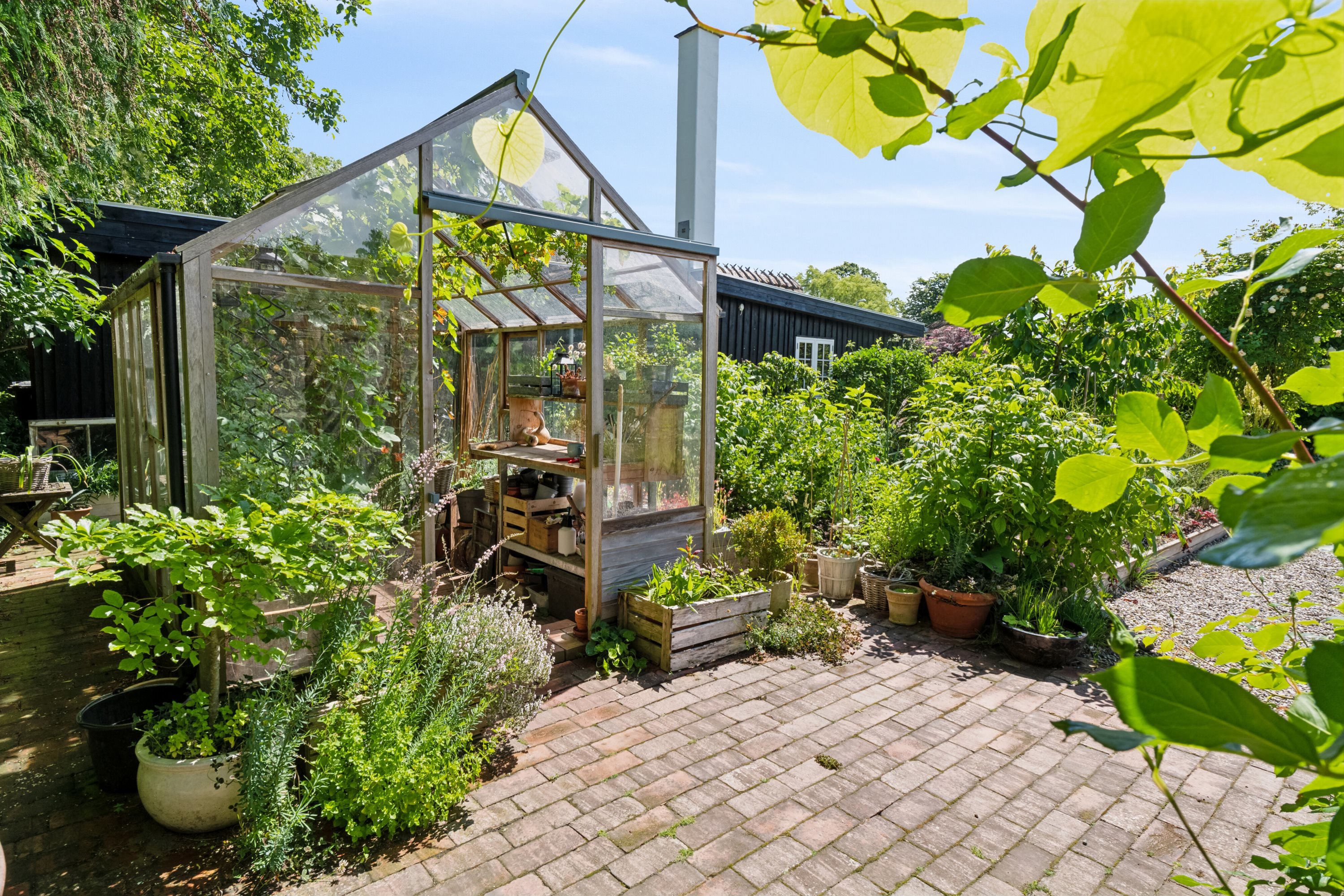 Fremhævet drivhus billede i fuldskærmstilstand. Billede af Skovballevej 94, Tåsinge, 5700 Svendborg