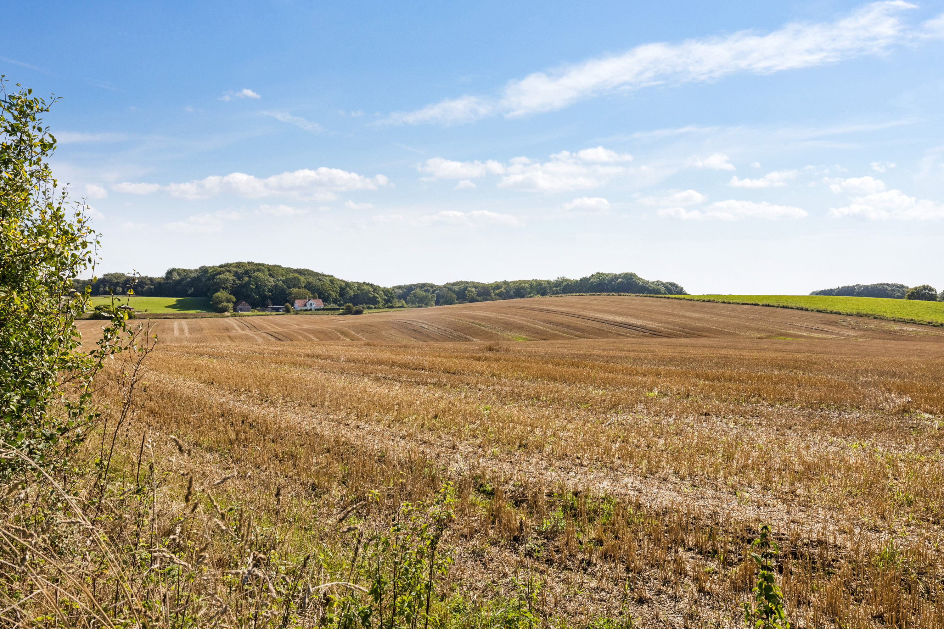 Fremhævet omgivelser billede i fuldskærmstilstand. Billede af Tronkærvej 50, 8530 Hjortshøj