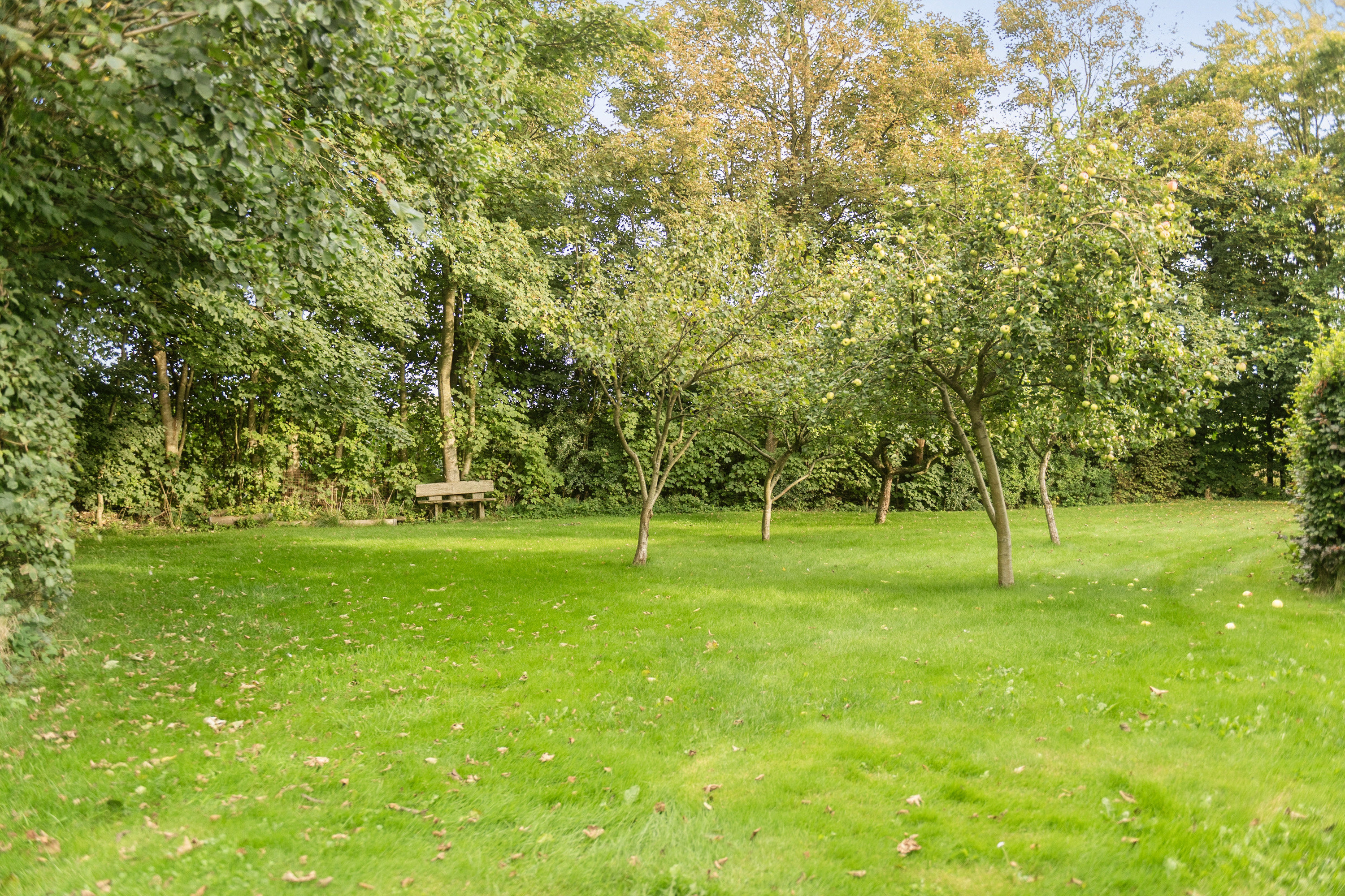 Fremhævet have billede i fuldskærmstilstand. Billede af Grønnevej 1, 6851 Janderup Vestj