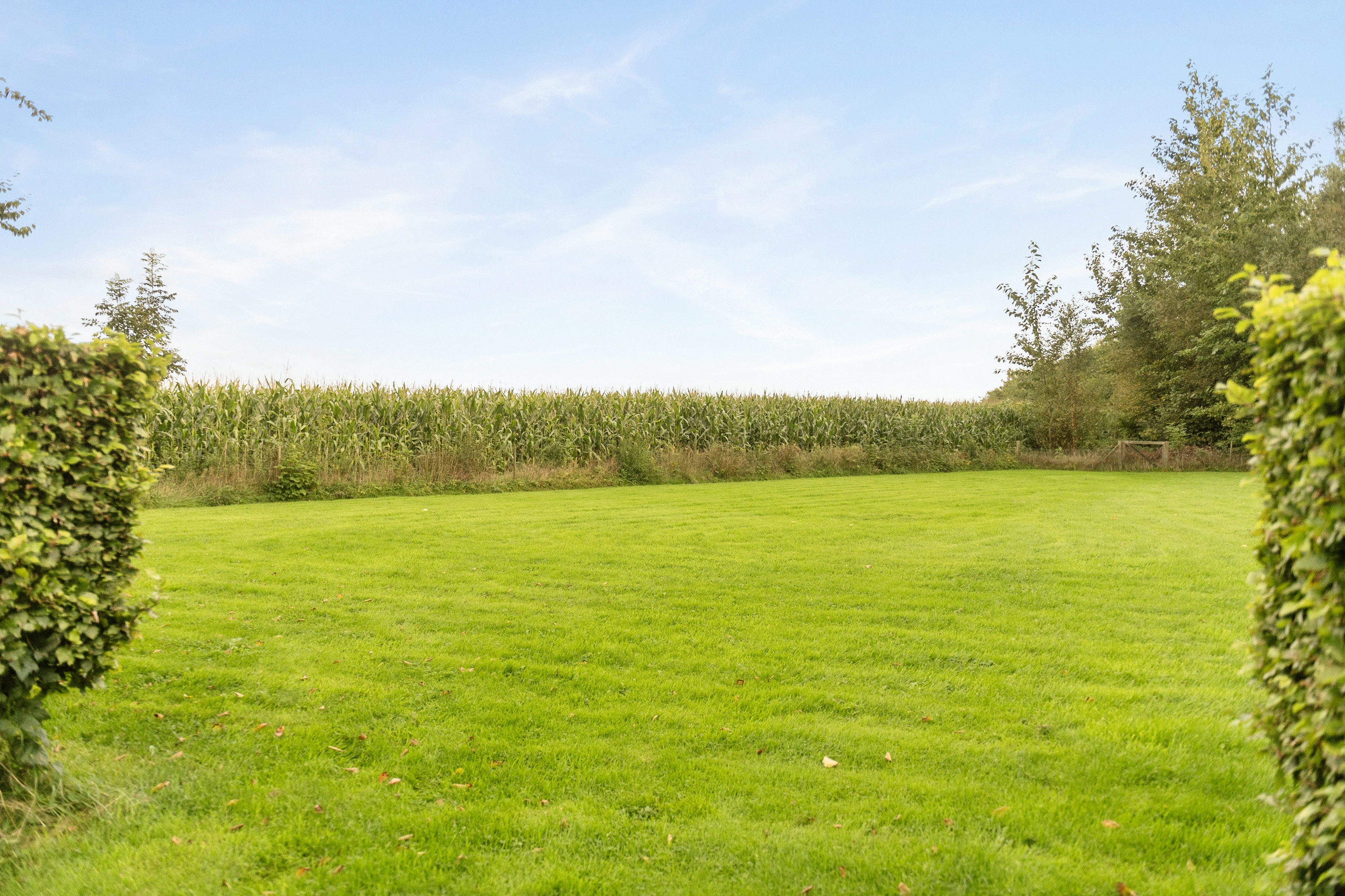 Fremhævet have billede i fuldskærmstilstand. Billede af Grønnevej 1, 6851 Janderup Vestj