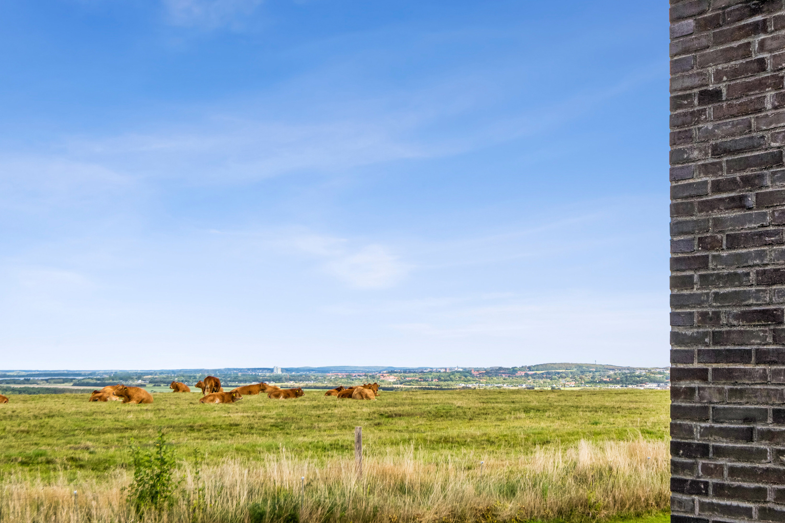 Fremhævet udsigt billede i fuldskærmstilstand. Billede af Kalmanparken 102, 9200 Aalborg SV