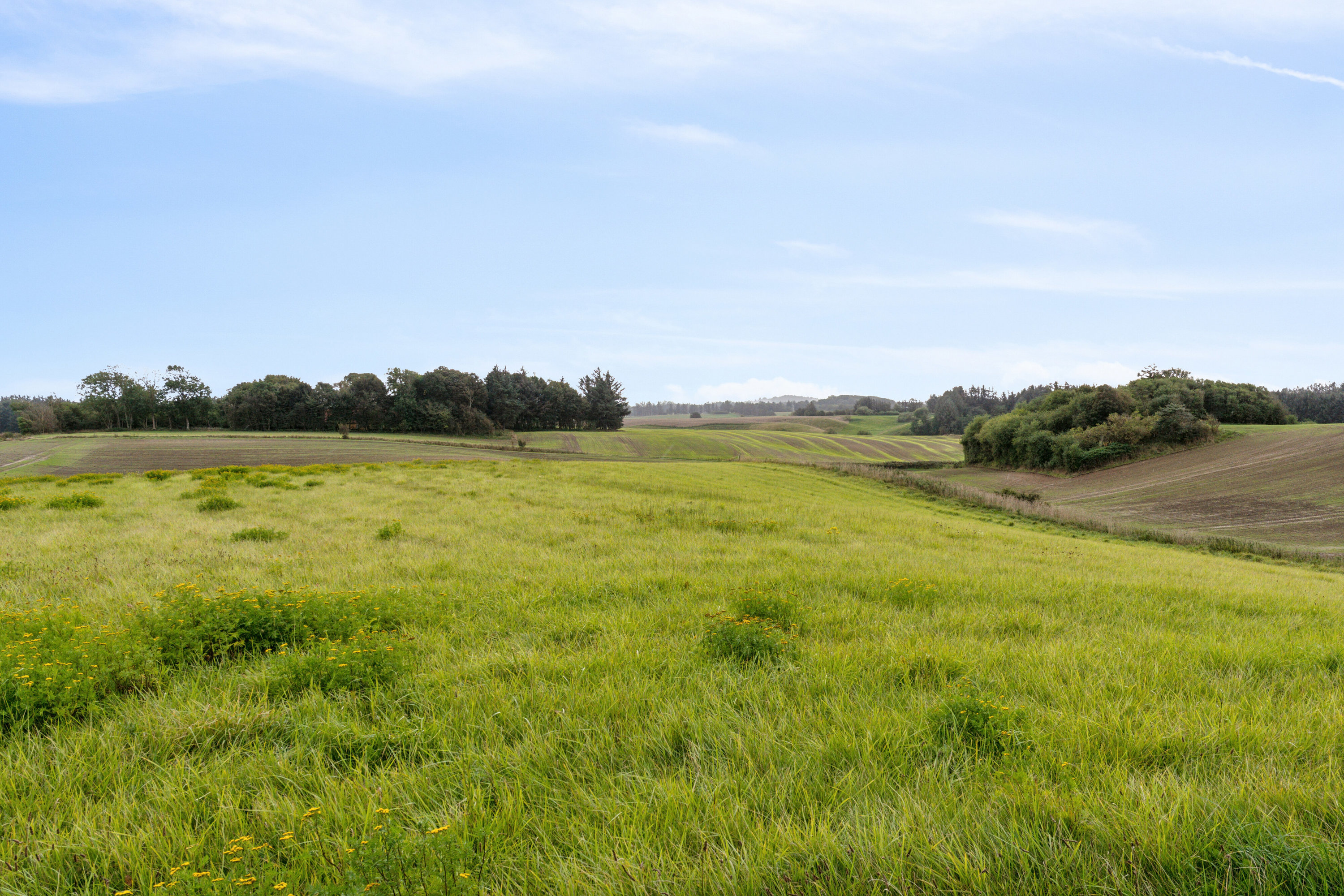 Fremhævet udsigt billede i fuldskærmstilstand. Billede af Ramsvej 159, Bjergby, 9800 Hjørring