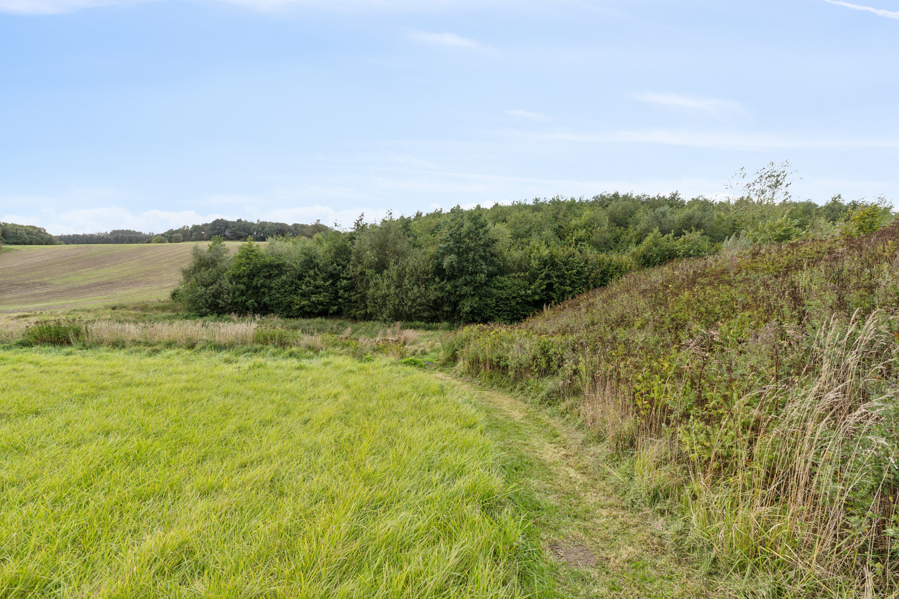 Fremhævet udsigt billede i fuldskærmstilstand. Billede af Ramsvej 159, Bjergby, 9800 Hjørring