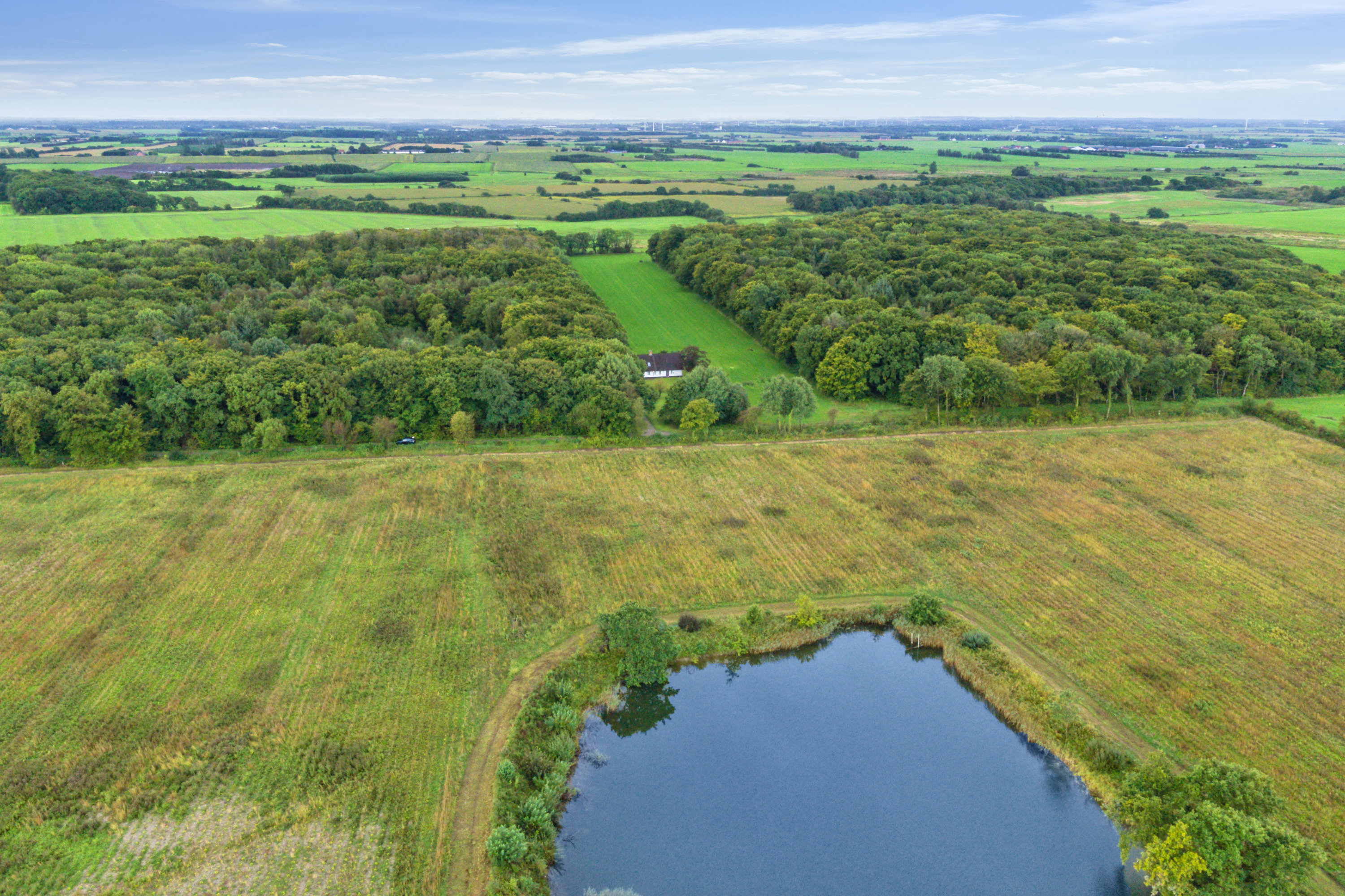 Fremhævet luftfoto billede i fuldskærmstilstand. Billede af Spandetvej 17, Fjersted, 6760 Ribe