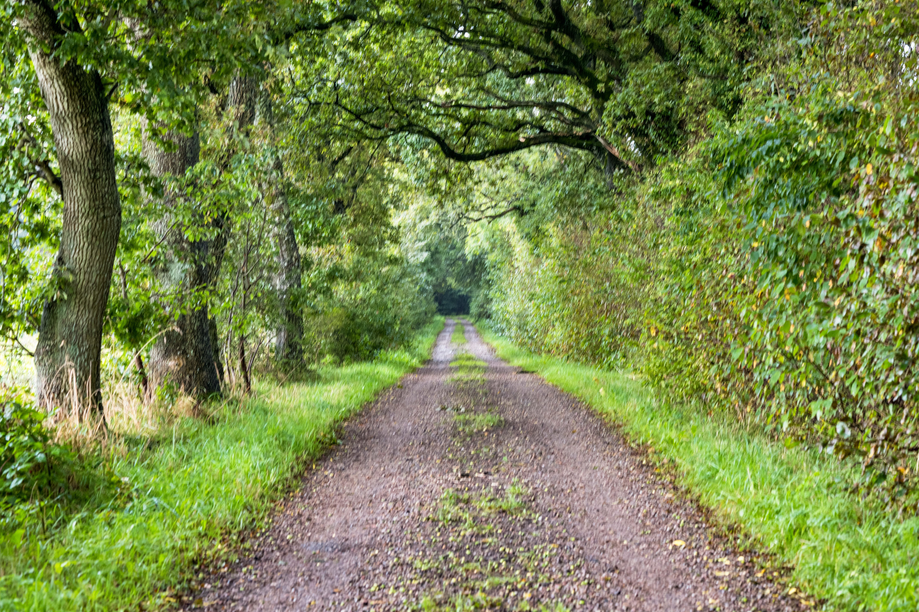 Fremhævet område billede i fuldskærmstilstand. Billede af Spandetvej 17, Fjersted, 6760 Ribe