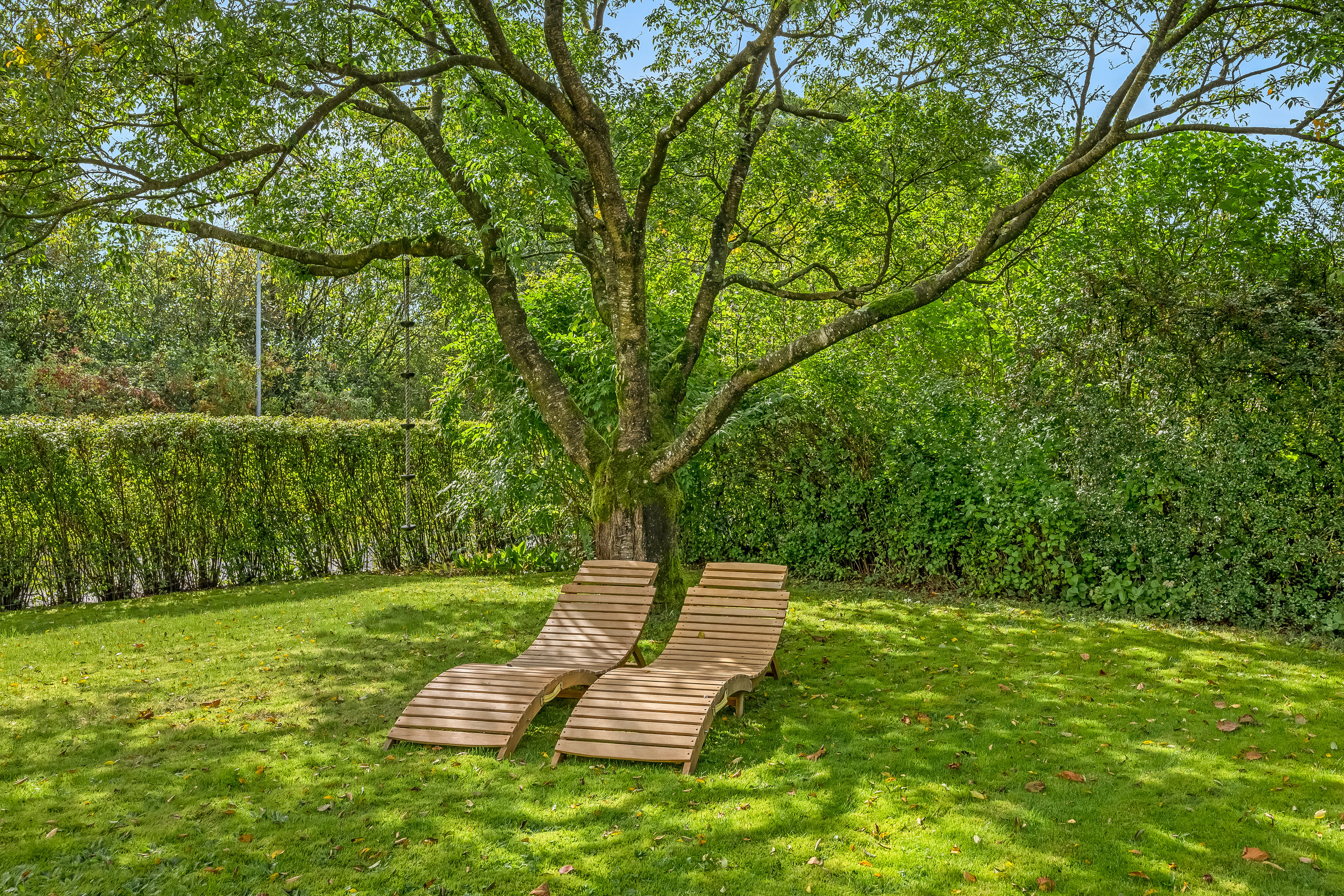 Fremhævet have billede i fuldskærmstilstand. Billede af Elkjærvej 101, Mejrup, 7500 Holstebro