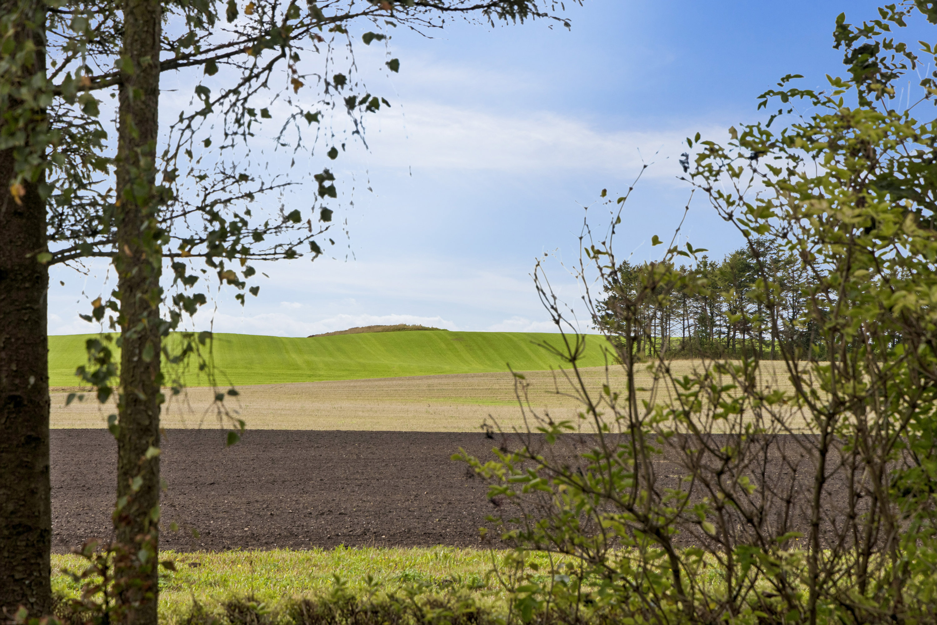 Fremhævet udsigt billede i fuldskærmstilstand. Billede af Fragdrup Hedevej 7, Fragdrup, 9500 Hobro