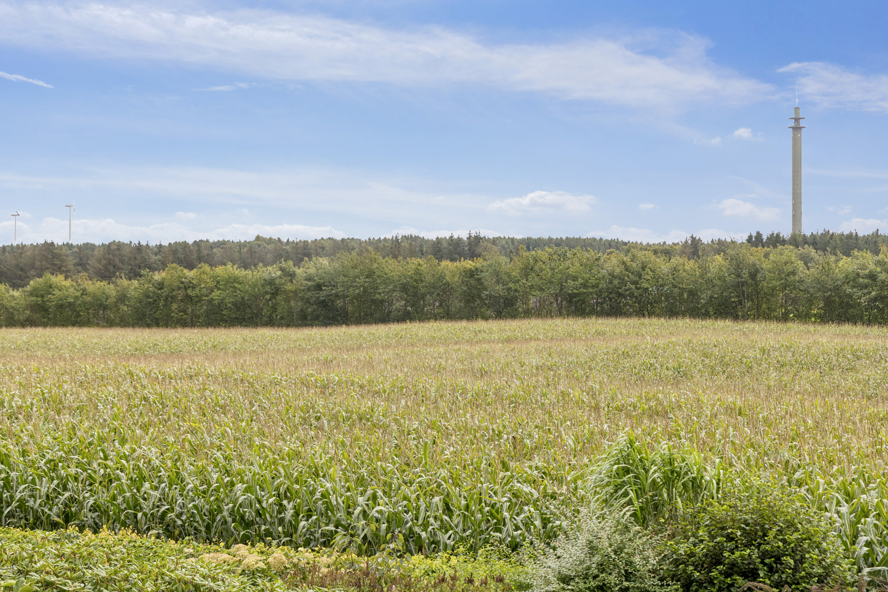 Fremhævet omgivelser billede i fuldskærmstilstand. Billede af Fragdrup Hedevej 7, Fragdrup, 9500 Hobro
