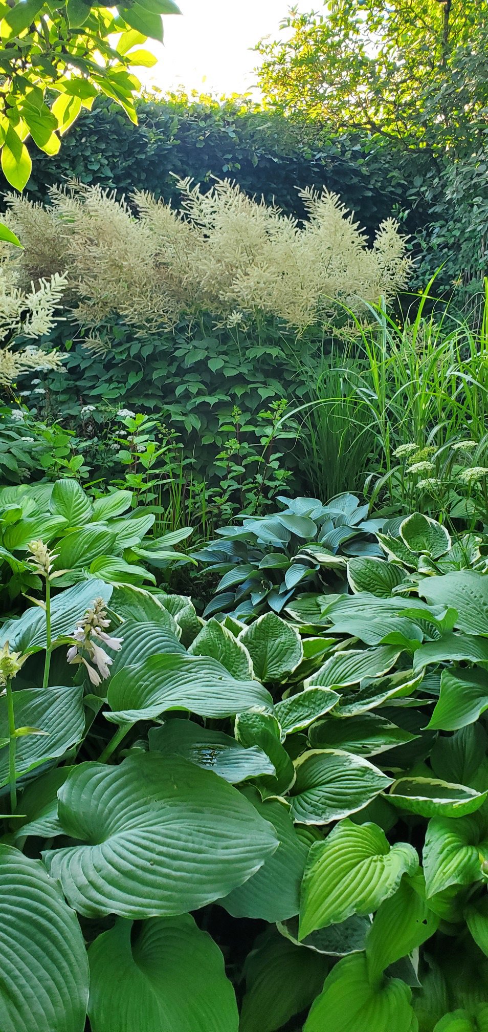 Fremhævet  billede i fuldskærmstilstand. Billede af Bøgevej 3, 6862 Tistrup