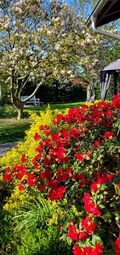 Fremhævet  billede i fuldskærmstilstand. Billede af Bøgevej 3, 6862 Tistrup