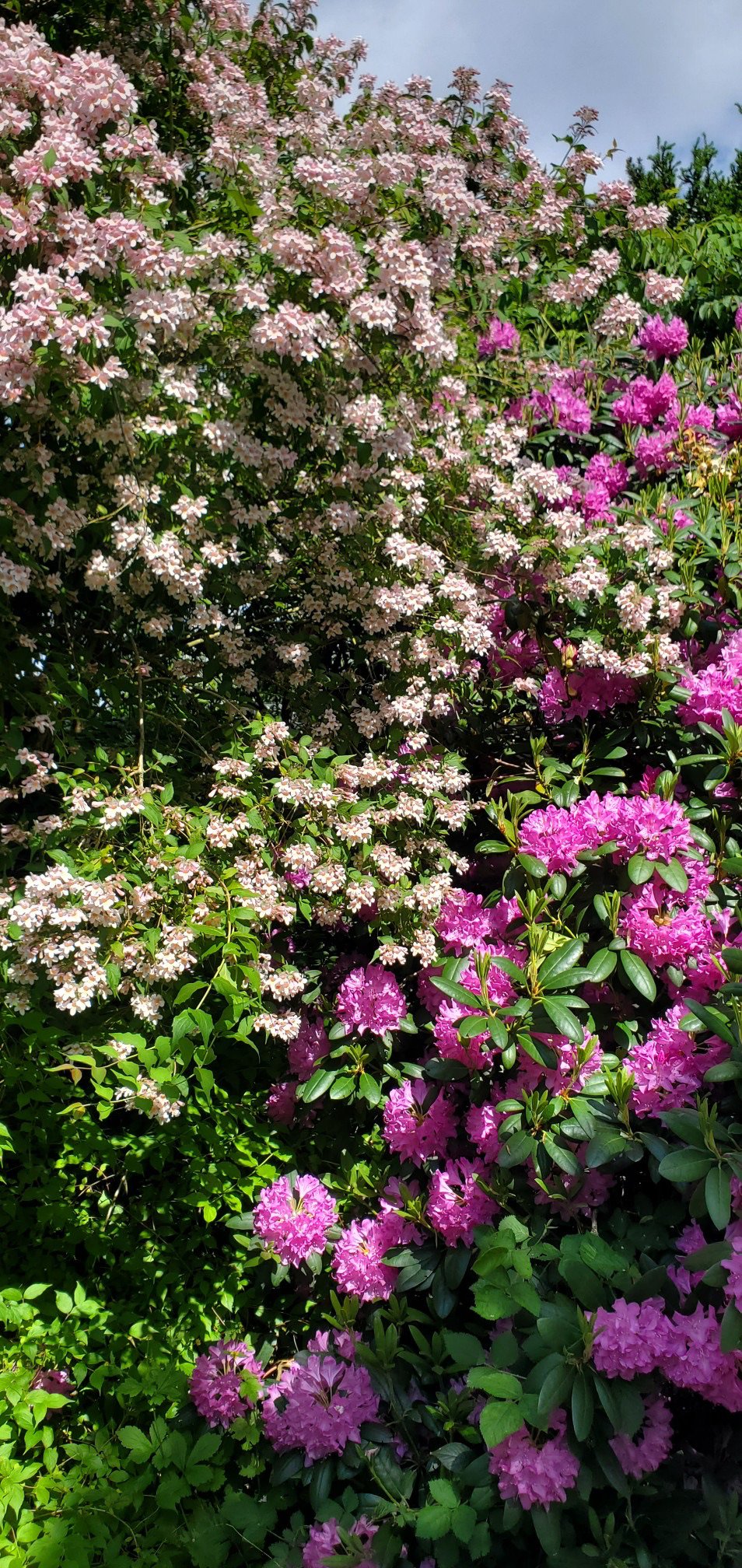 Fremhævet  billede i fuldskærmstilstand. Billede af Bøgevej 3, 6862 Tistrup