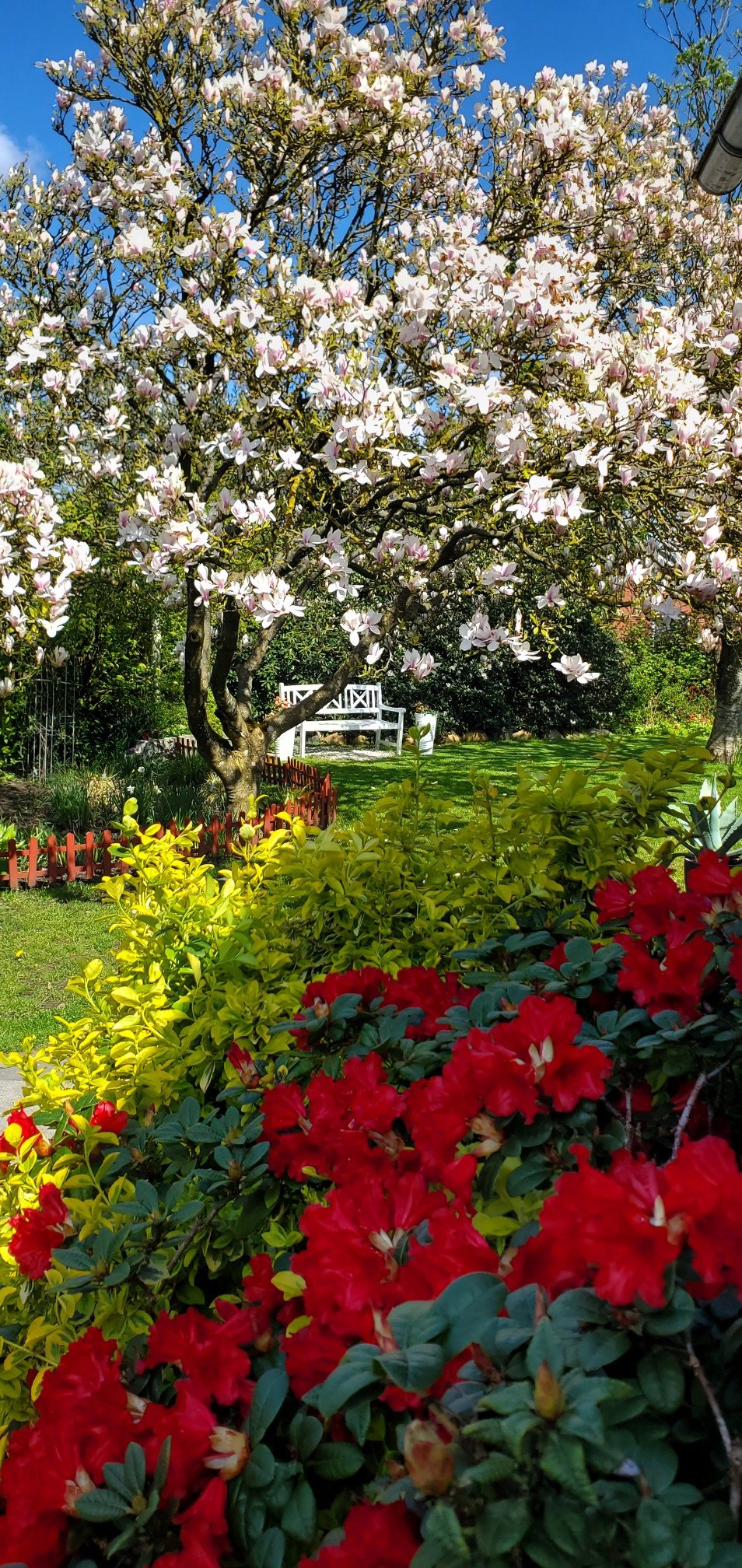 Fremhævet  billede i fuldskærmstilstand. Billede af Bøgevej 3, 6862 Tistrup