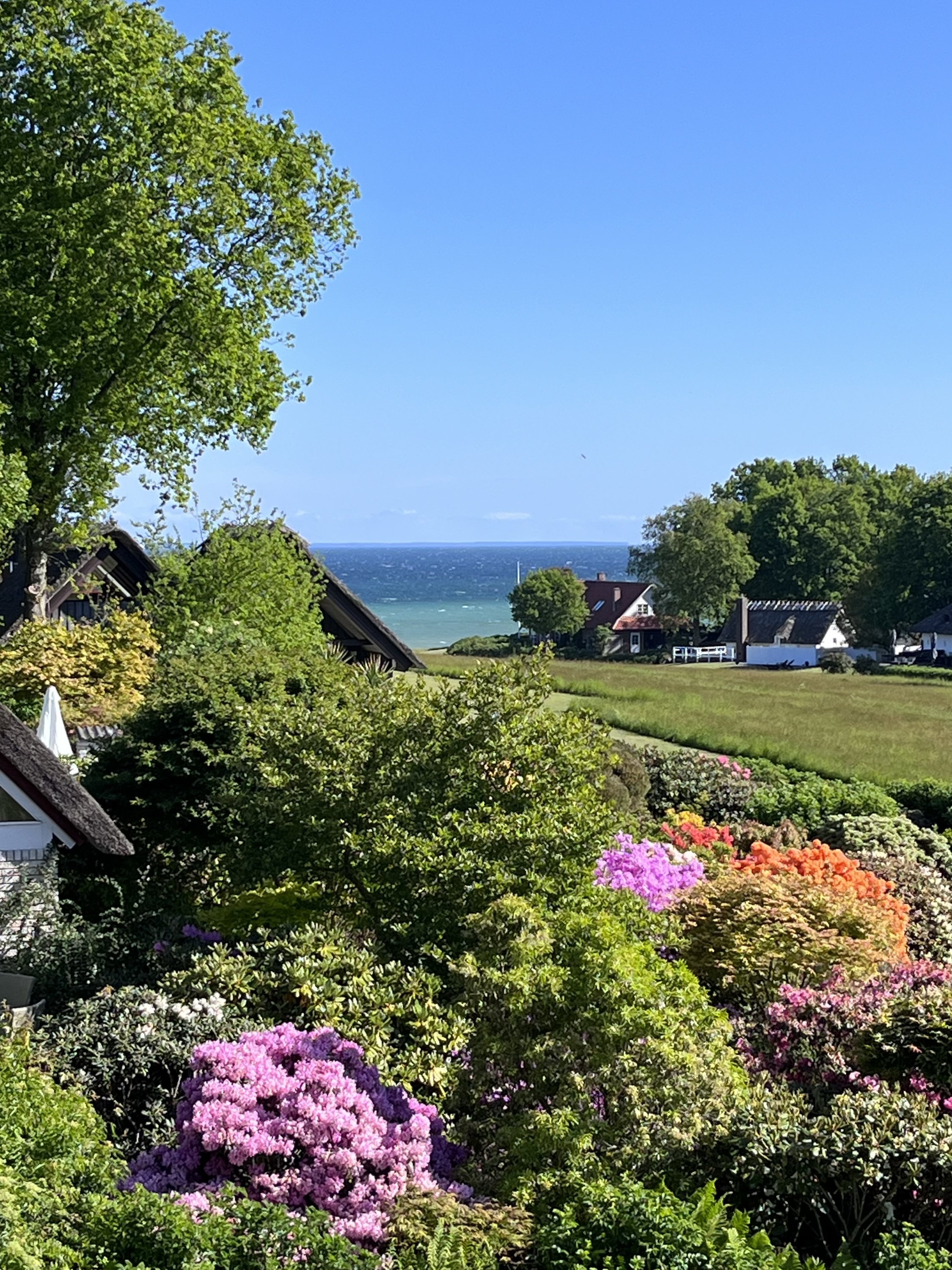 Miniaturebillede 2: . Billede af Daadyrvænget 8, Båring Ege, 5466 Asperup