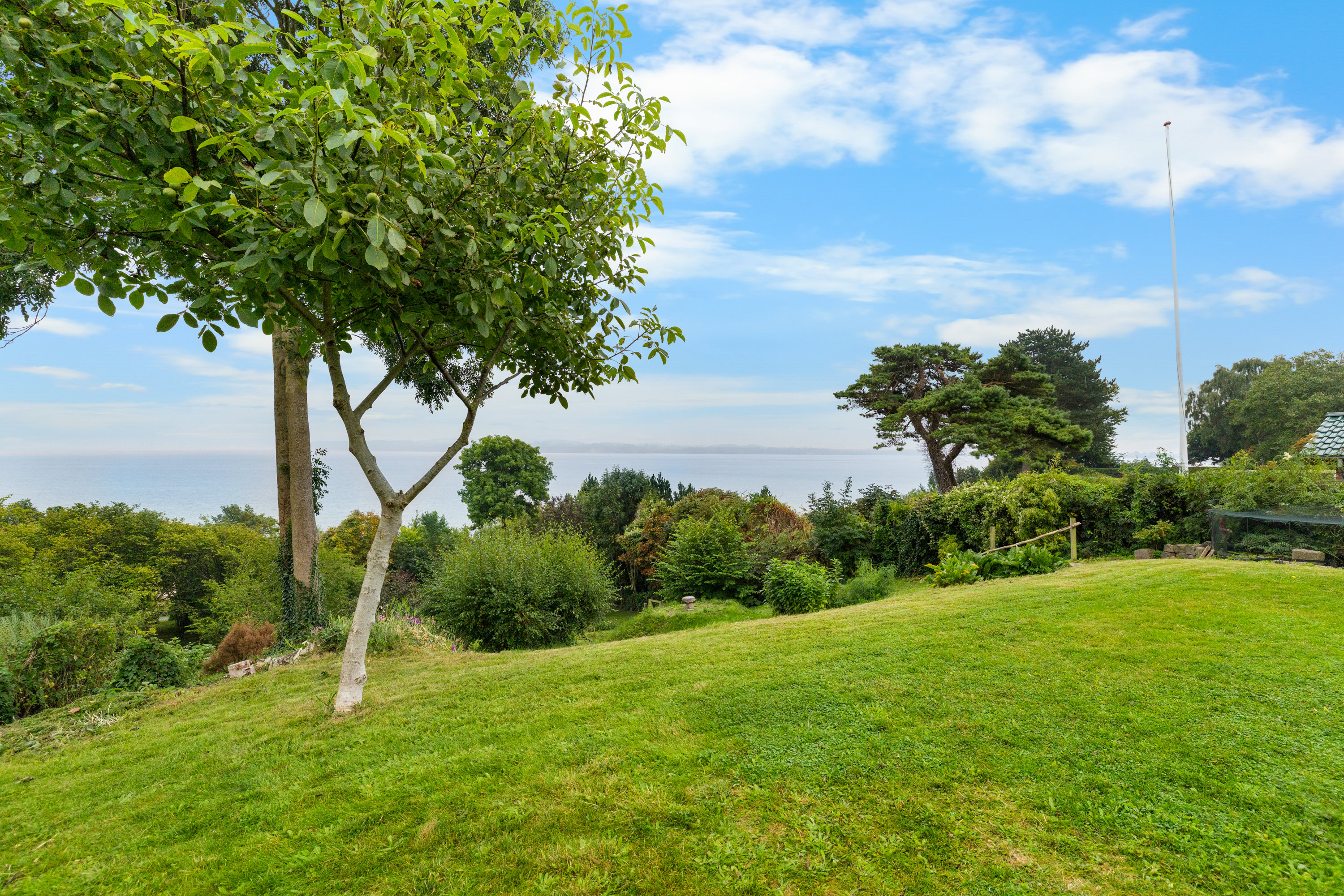 Miniaturebillede 1: have. Billede af Fælledvej 38, 7000 Fredericia