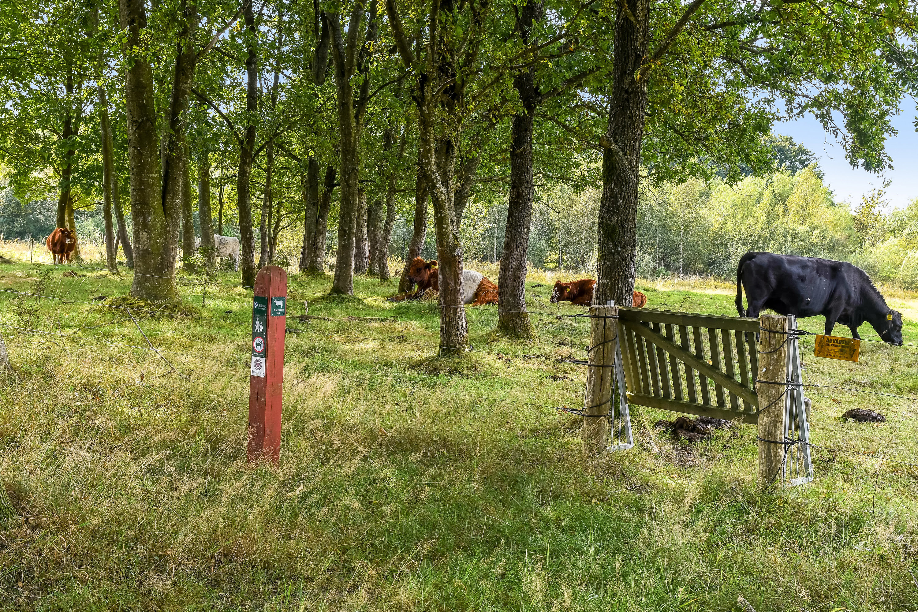 Fremhævet have billede i fuldskærmstilstand. Billede af Sønderkær 375, 7190 Billund