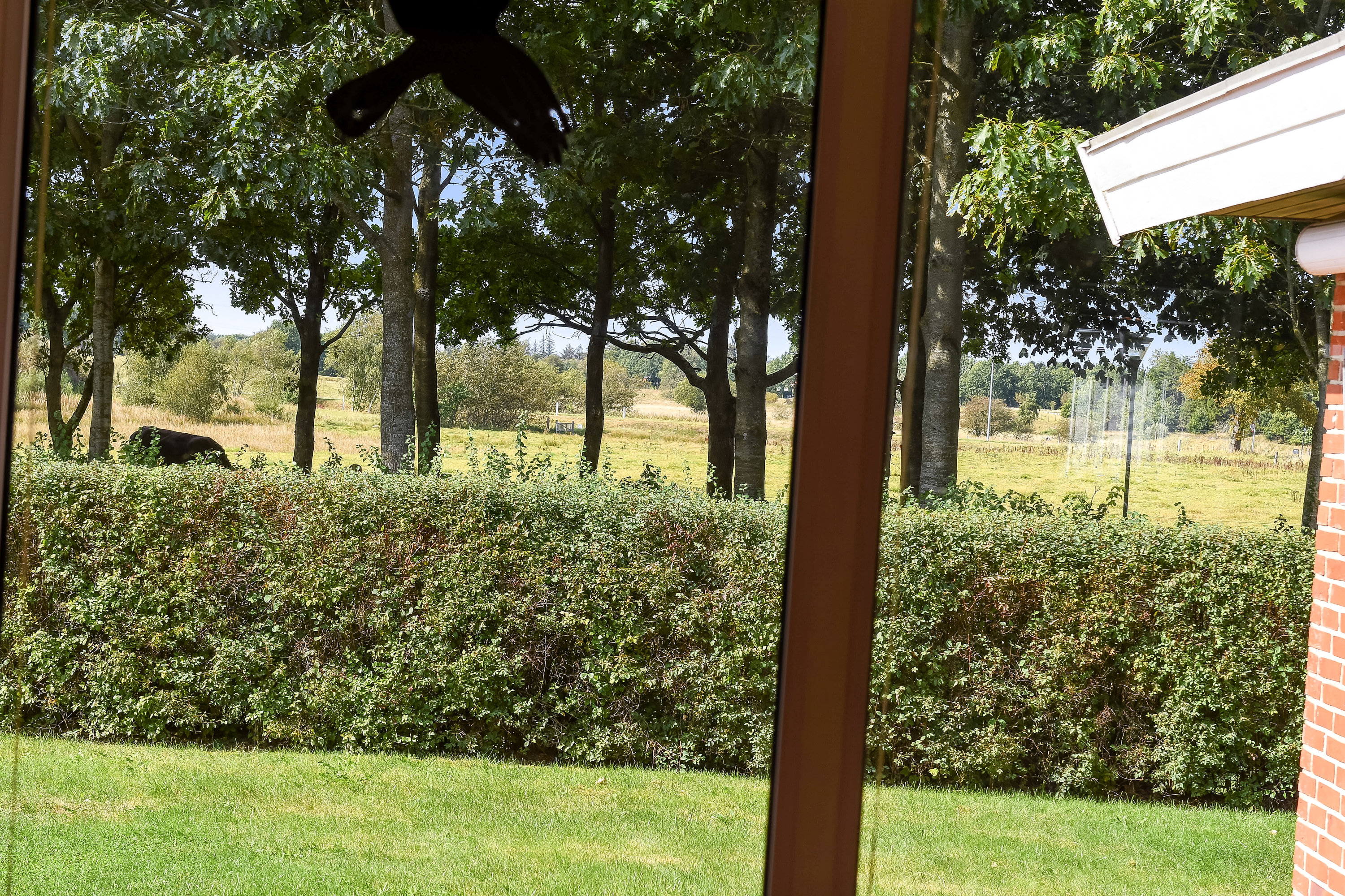 Fremhævet have billede i fuldskærmstilstand. Billede af Sønderkær 375, 7190 Billund