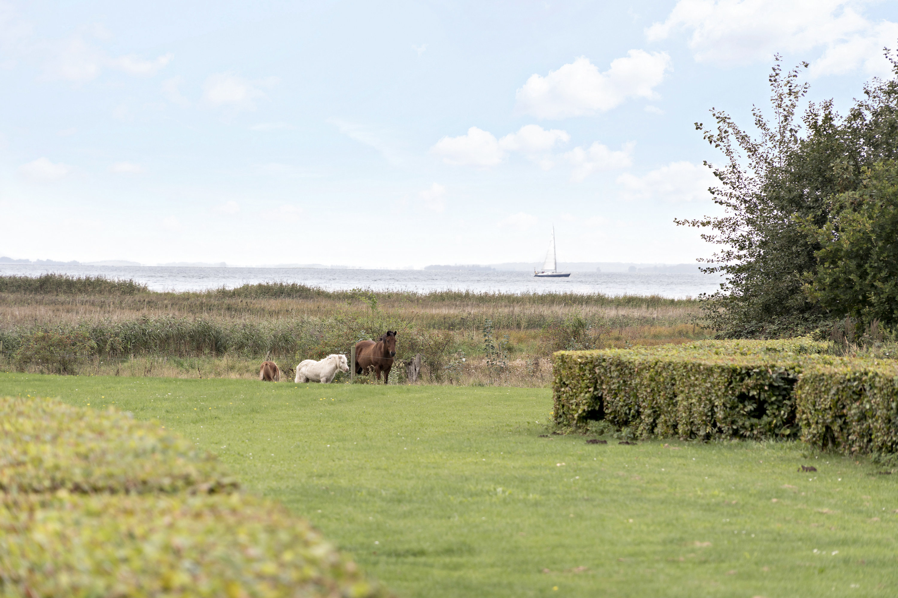 Fremhævet  billede i fuldskærmstilstand. Billede af Vornæs Skovvej 14, Tåsinge, 5700 Svendborg