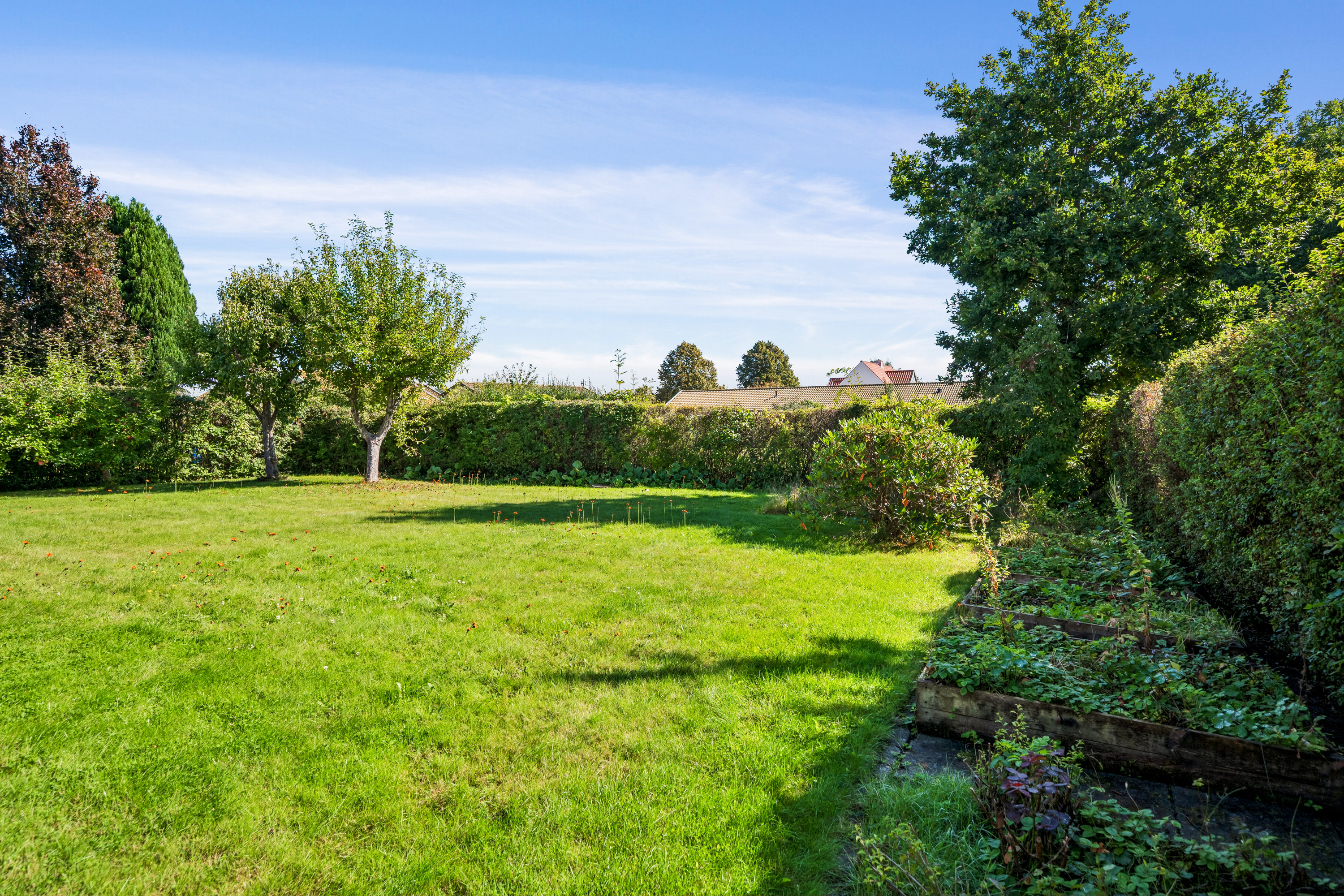 Fremhævet have billede i fuldskærmstilstand. Billede af Annekærvej 36, 8250 Egå