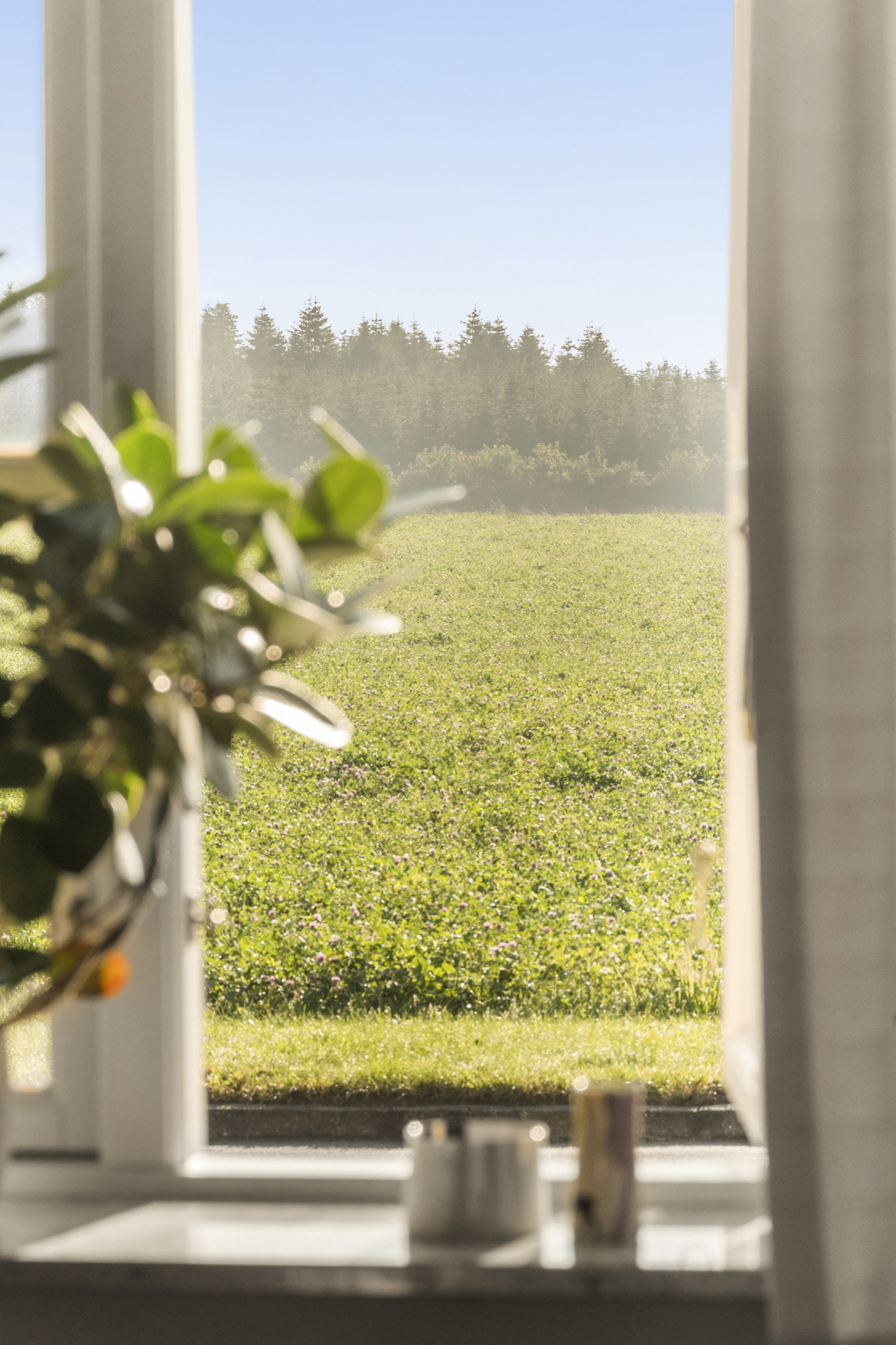 Plantegninger billede af Søndermarksvej 62, Sejet, 8700 Horsens