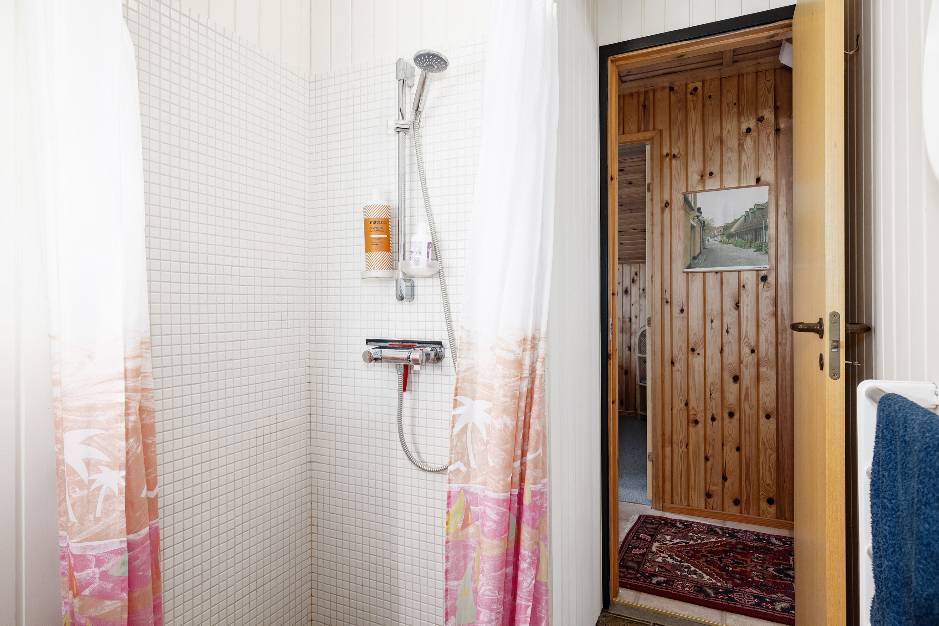 Fremhævet  billede i fuldskærmstilstand. Billede af Birkely 19, 4880 Nysted