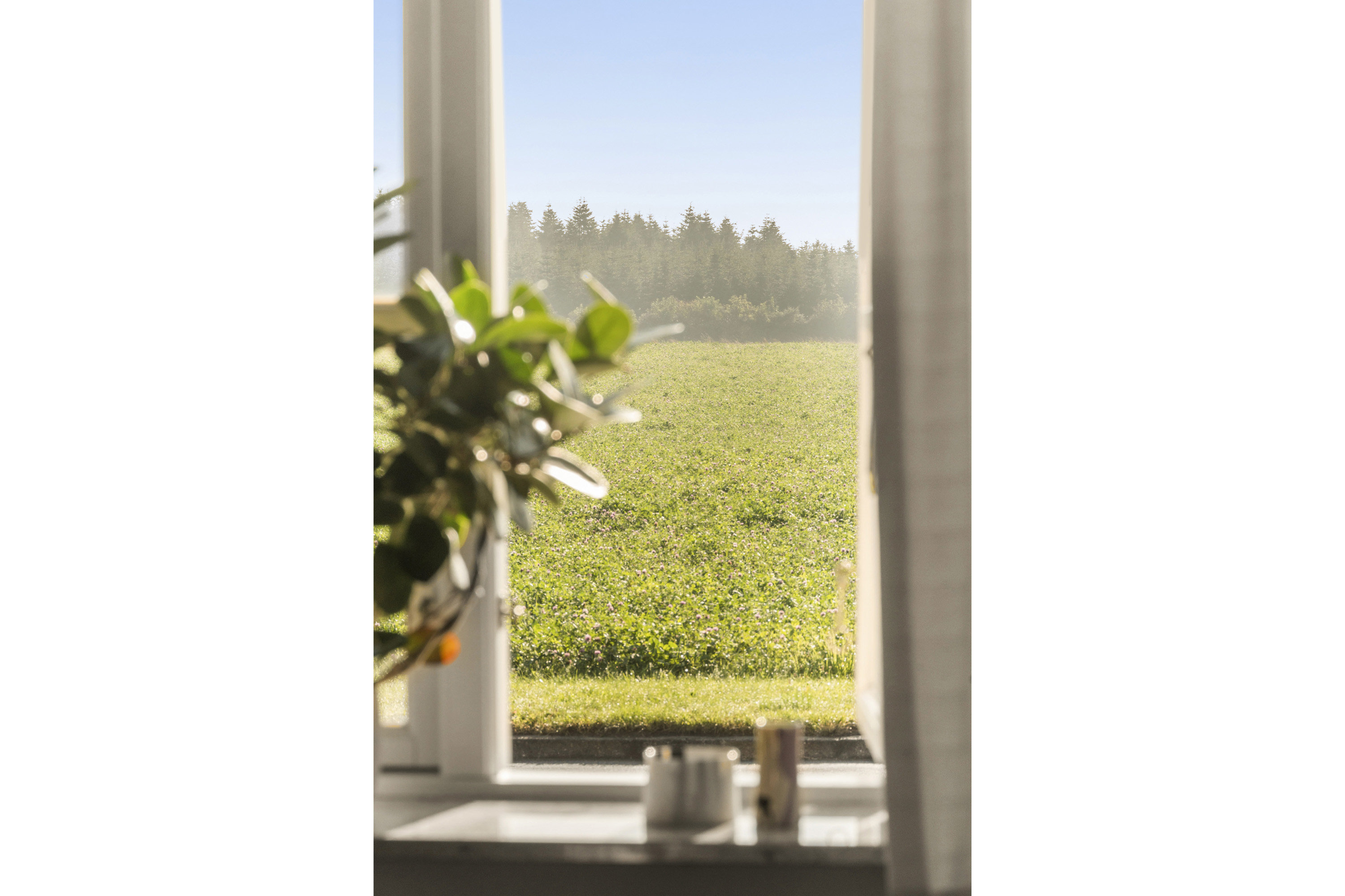 Fremhævet område billede i fuldskærmstilstand. Billede af Søndermarksvej 62, Sejet, 8700 Horsens