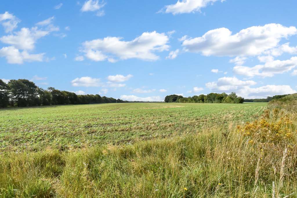 Fremhævet  billede i fuldskærmstilstand. Billede af Tavlund Allé 24, Lind, 7400 Herning