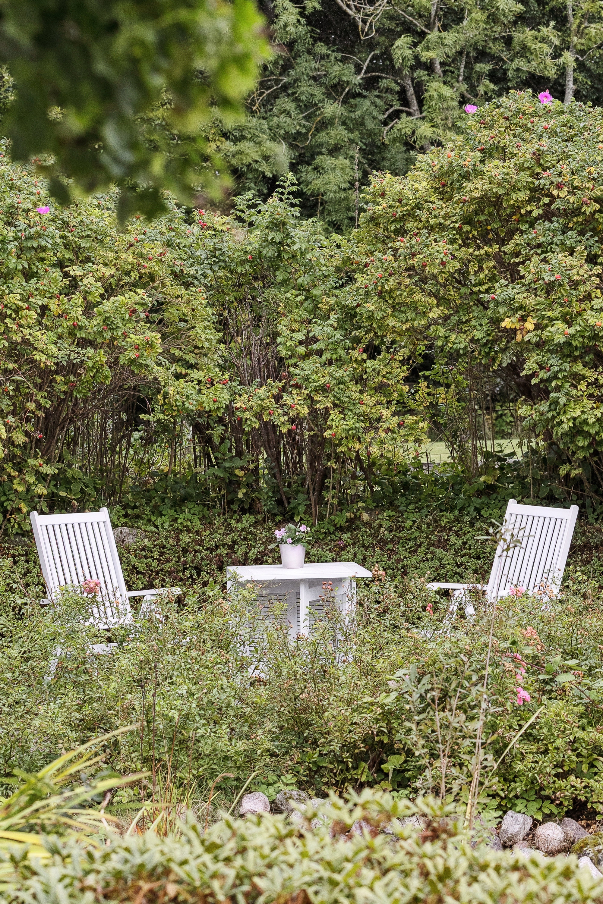 Fremhævet luftfoto billede i fuldskærmstilstand. Billede af Nebsmøllevej 68C, Ortved, 4100 Ringsted