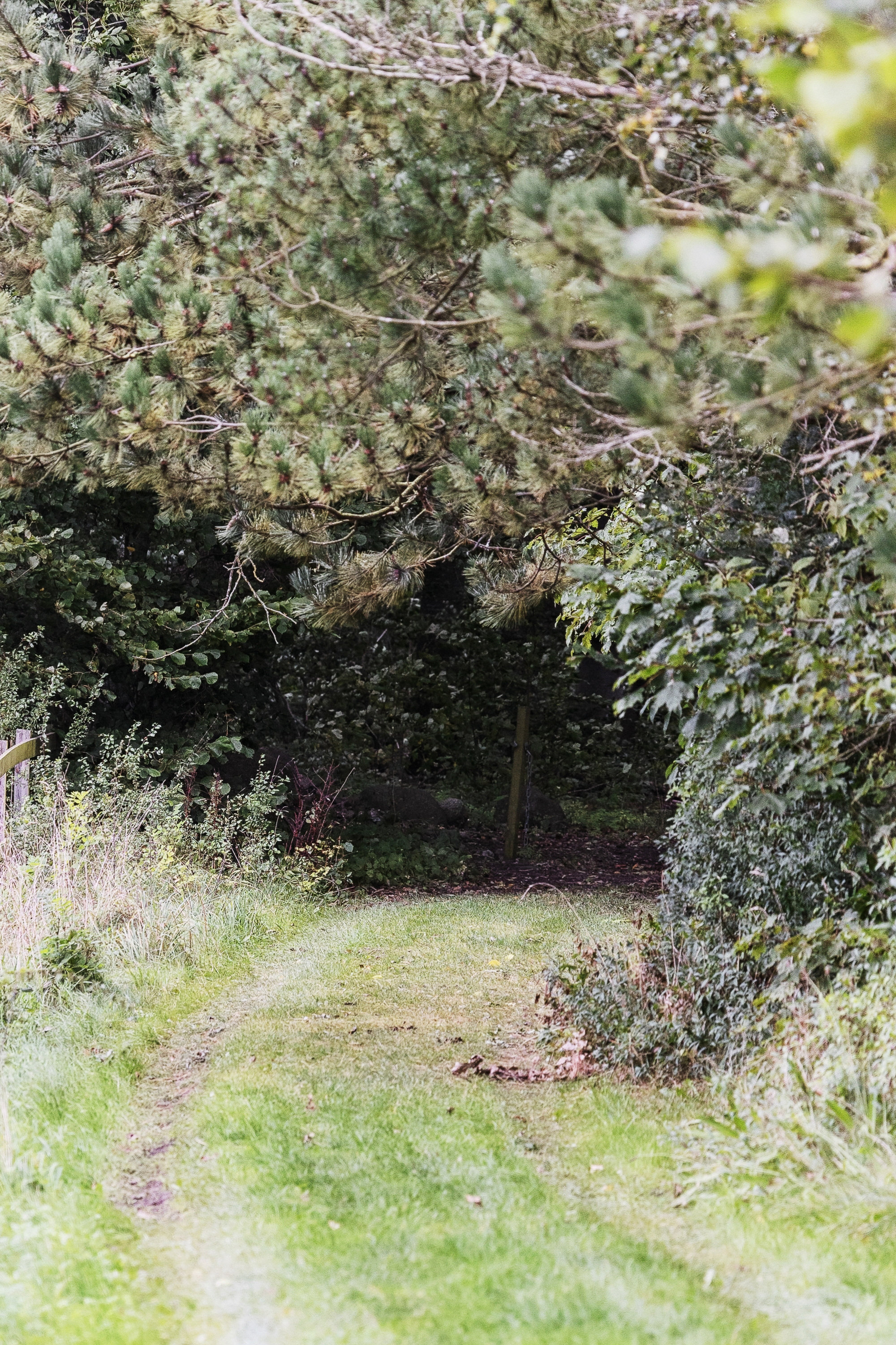 Fremhævet have billede i fuldskærmstilstand. Billede af Nebsmøllevej 68C, Ortved, 4100 Ringsted