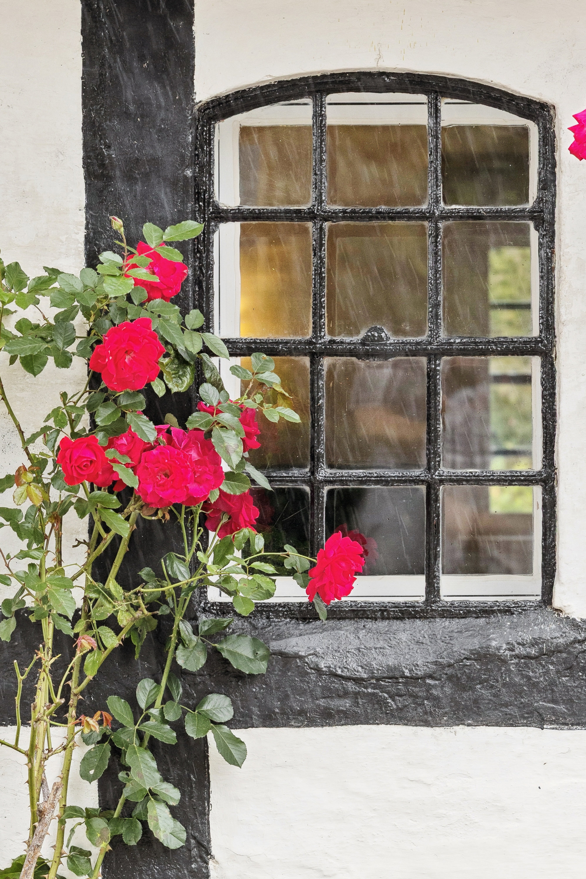 Fremhævet ejendom 1 billede i fuldskærmstilstand. Billede af Nebsmøllevej 68C, Ortved, 4100 Ringsted