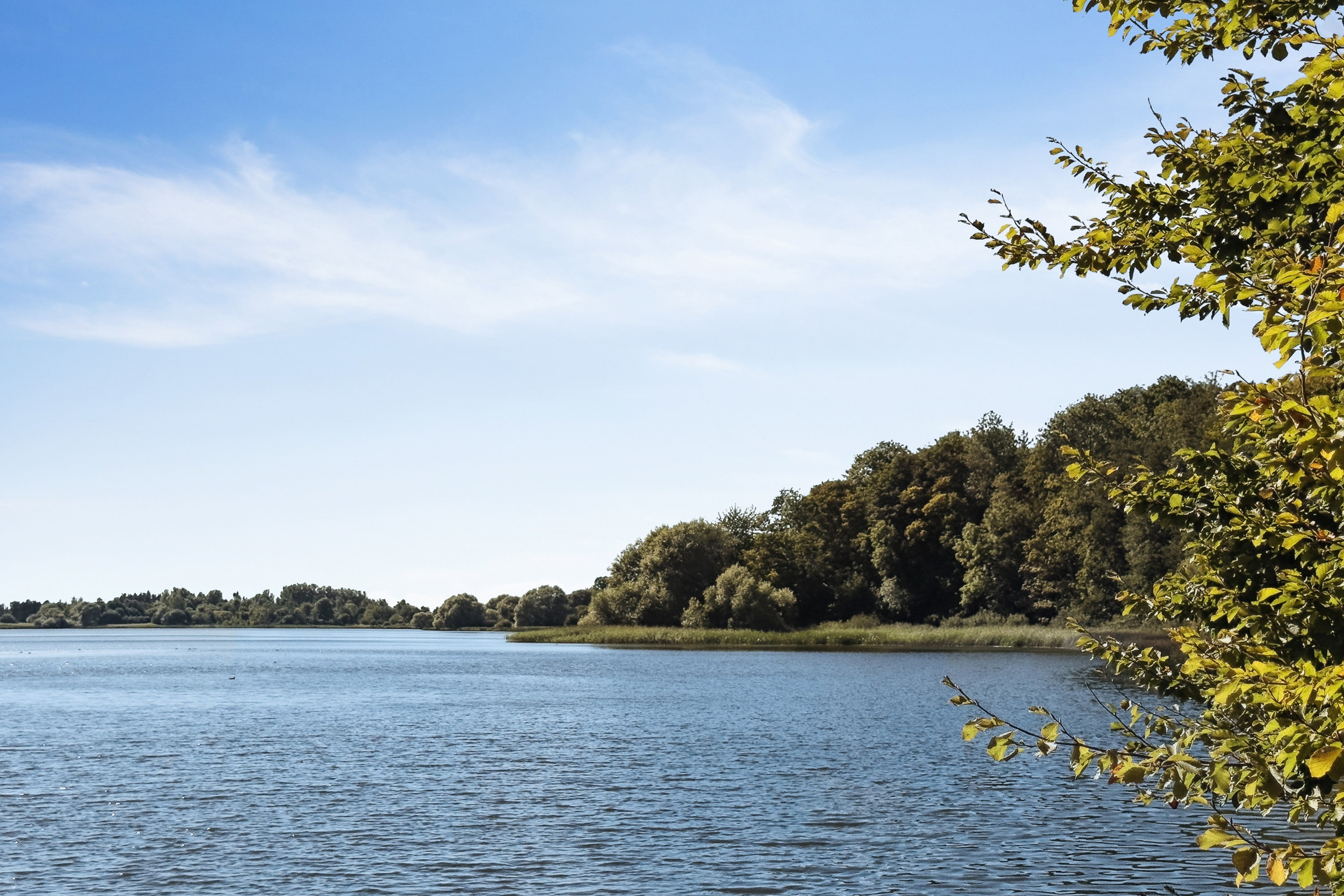 Fremhævet omgivelser billede i fuldskærmstilstand. Billede af Nebsmøllevej 68C, Ortved, 4100 Ringsted