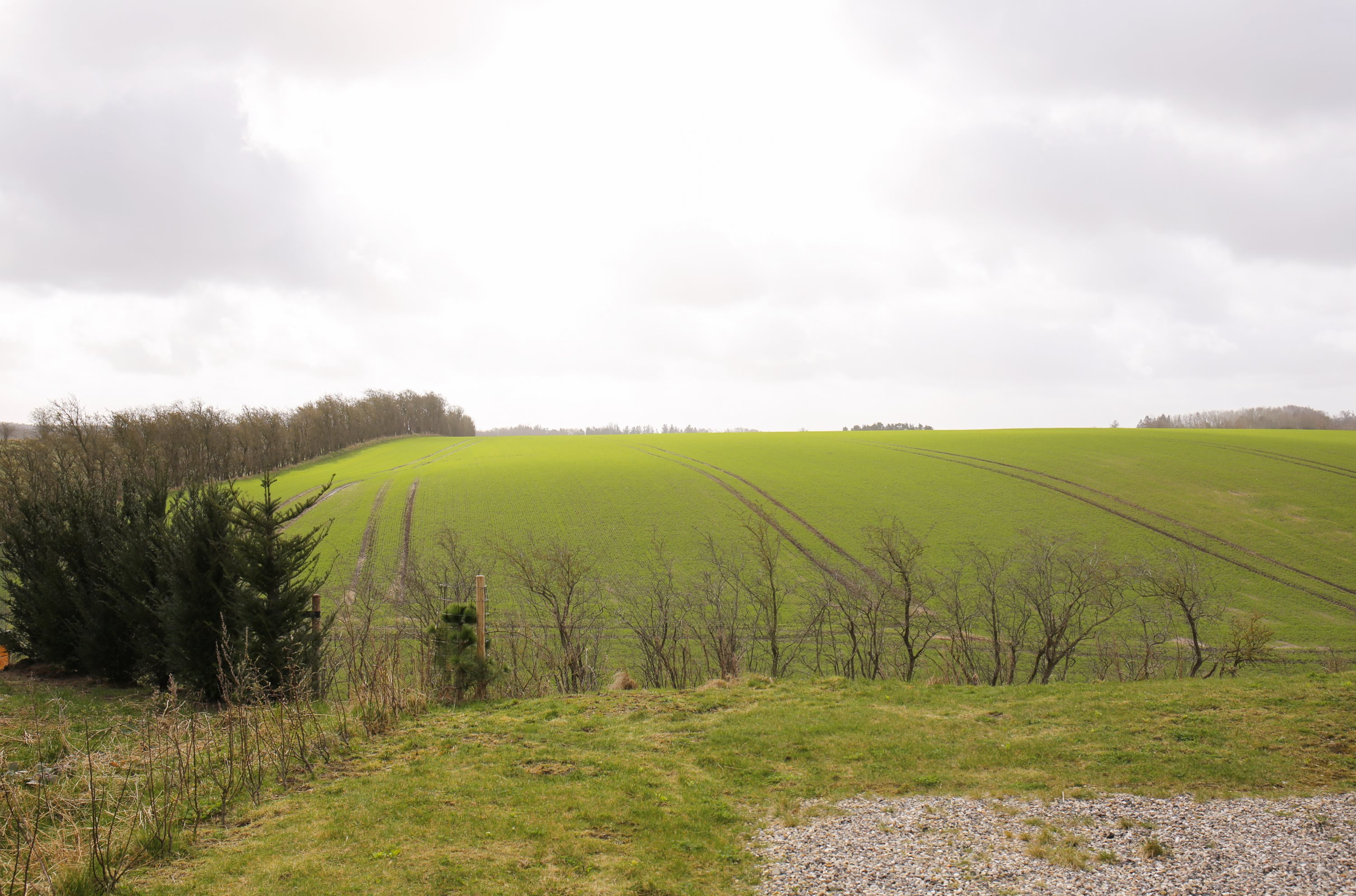 Fremhævet  billede i fuldskærmstilstand. Billede af Fjorddalen 7, Hjarbæk, 8831 Løgstrup