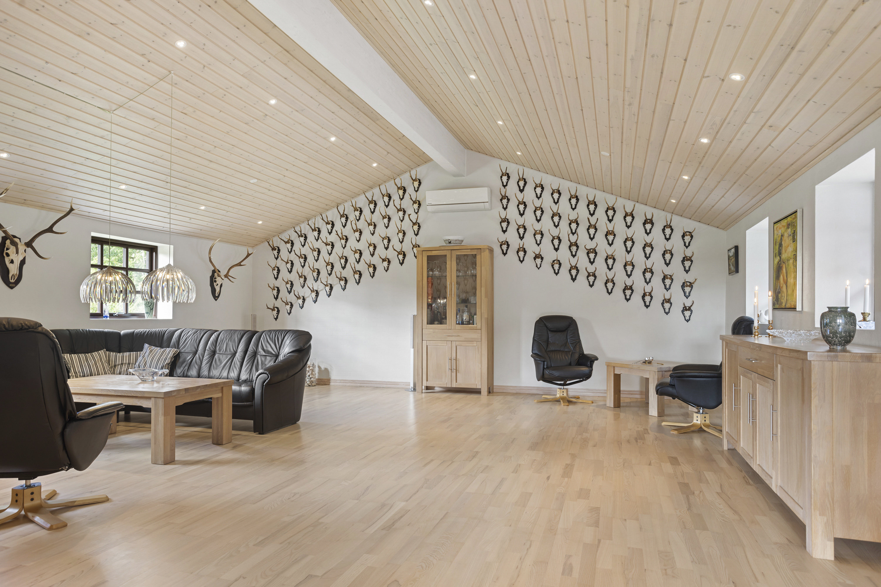 Fremhævet stue billede i fuldskærmstilstand. Billede af Solsbækvej 276, Lyngså, 9300 Sæby