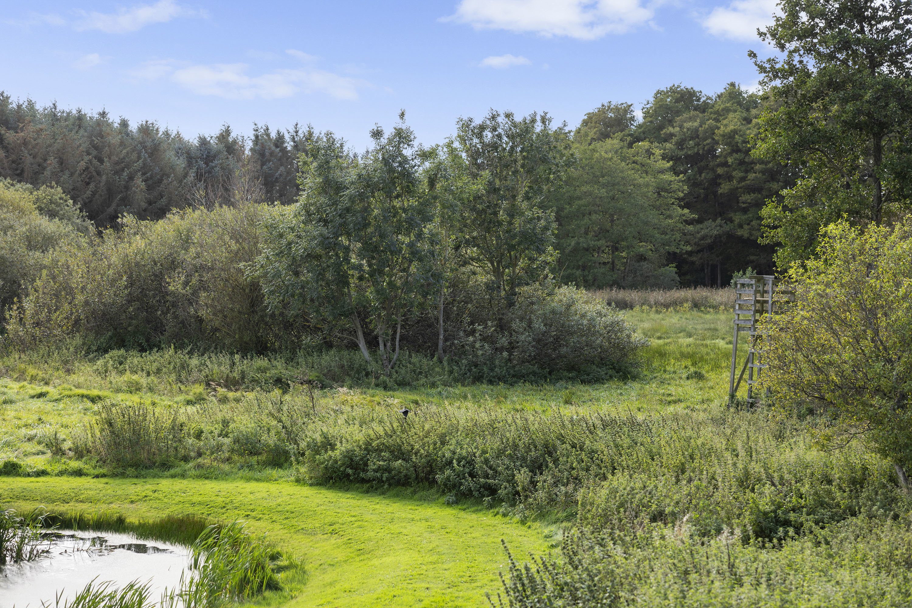 Fremhævet udsigt billede i fuldskærmstilstand. Billede af Solsbækvej 276, Lyngså, 9300 Sæby