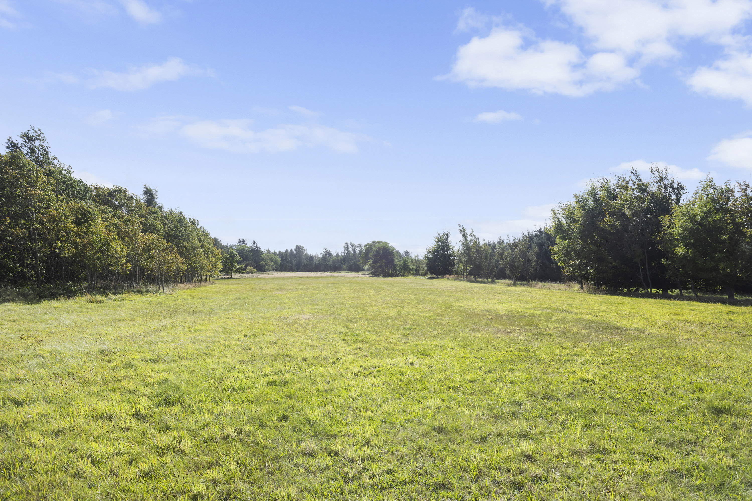 Fremhævet grund billede i fuldskærmstilstand. Billede af Solsbækvej 276, Lyngså, 9300 Sæby