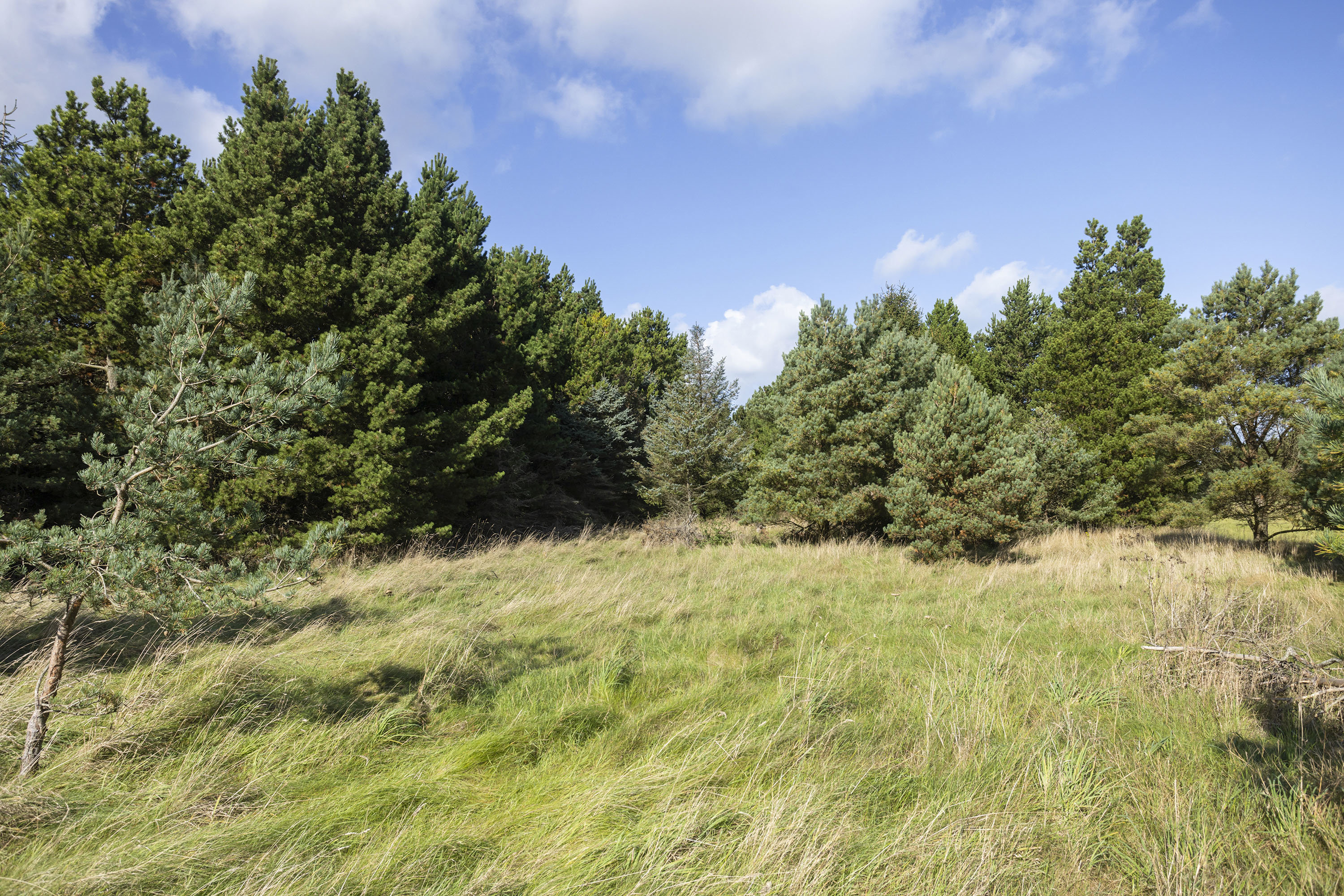 Fremhævet grund billede i fuldskærmstilstand. Billede af Solsbækvej 276, Lyngså, 9300 Sæby