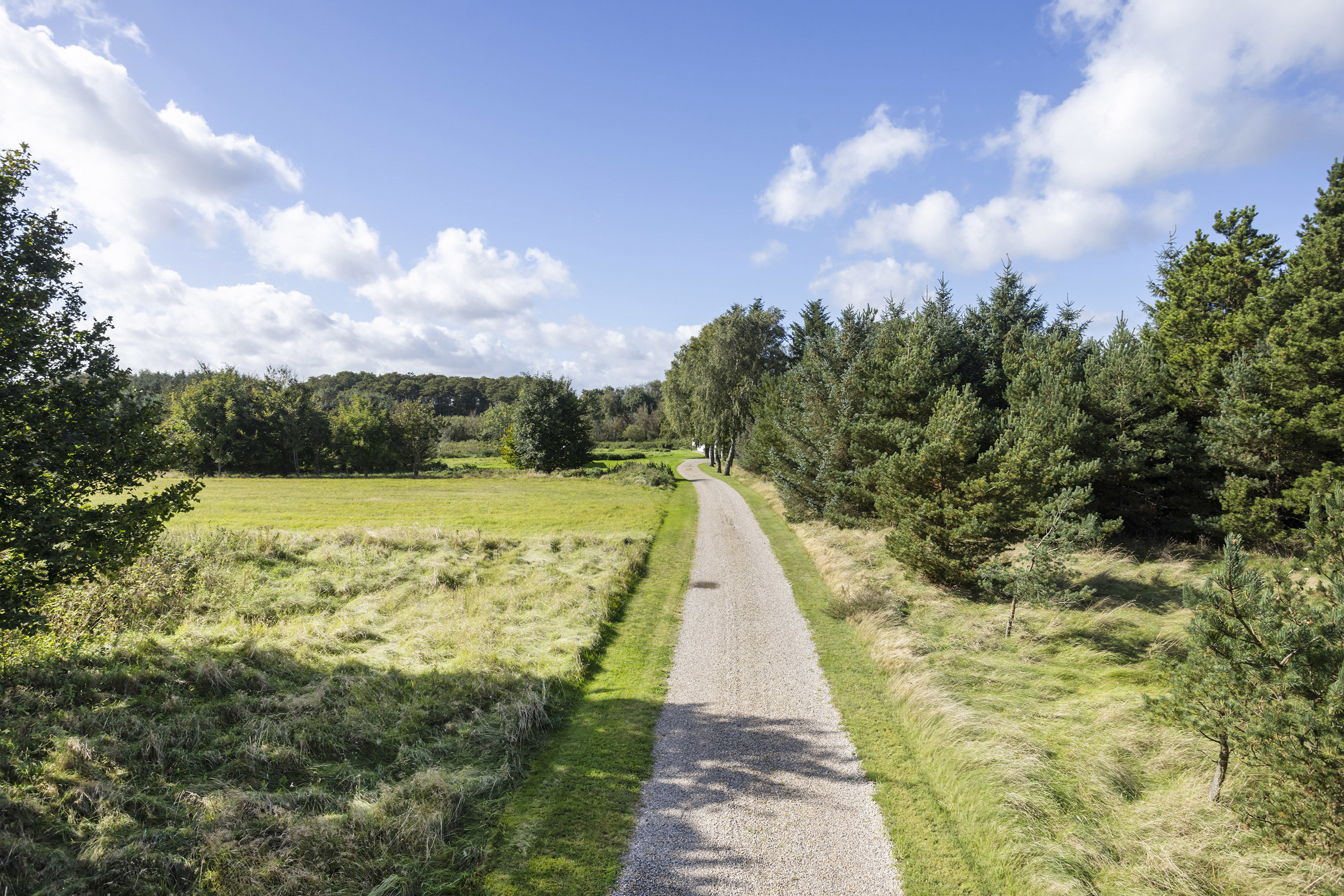 Fremhævet grund billede i fuldskærmstilstand. Billede af Solsbækvej 276, Lyngså, 9300 Sæby