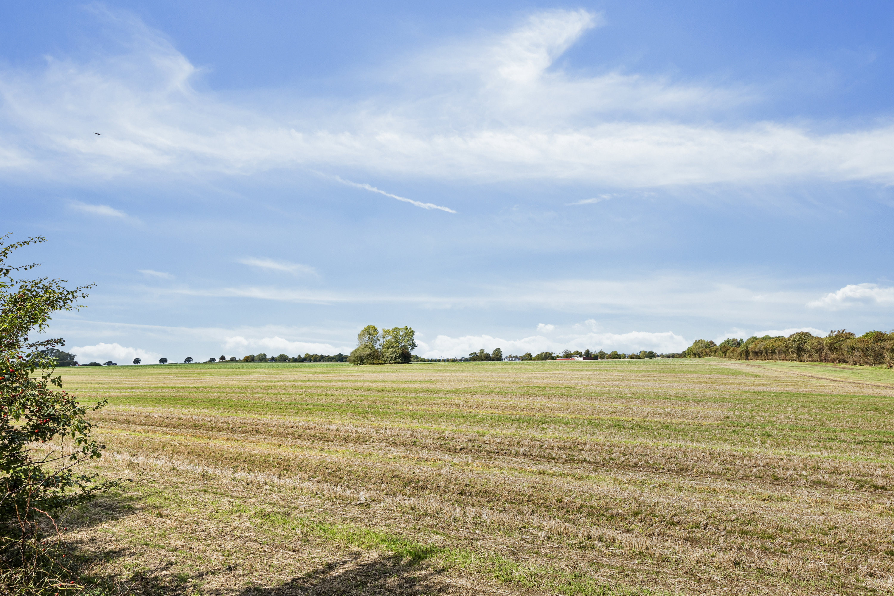 Fremhævet  billede i fuldskærmstilstand. Billede af Thorsvænge 94, 4673 Rødvig Stevns