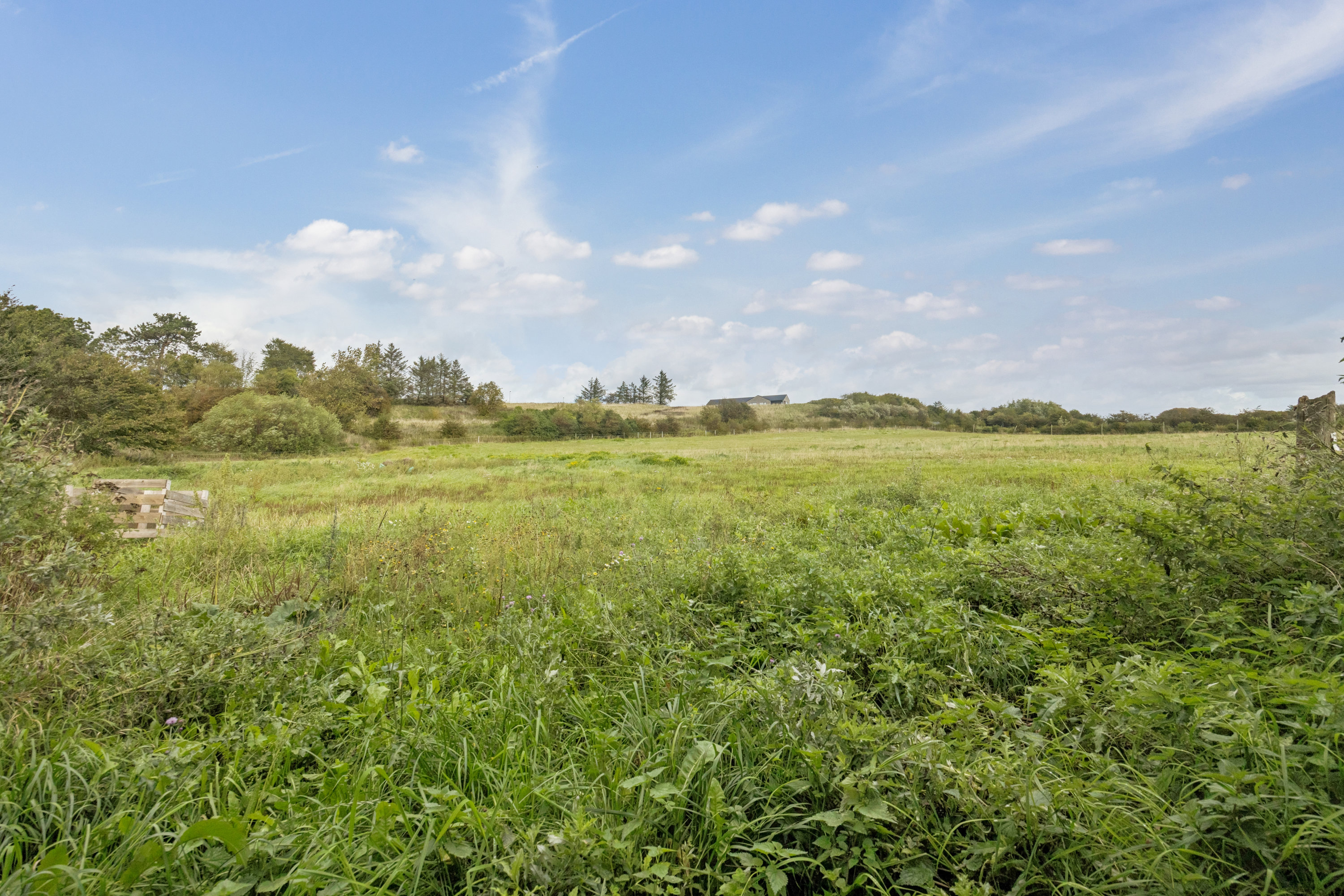 Fremhævet omgivelser billede i fuldskærmstilstand. Billede af Under Bjerget 8, 9460 Brovst