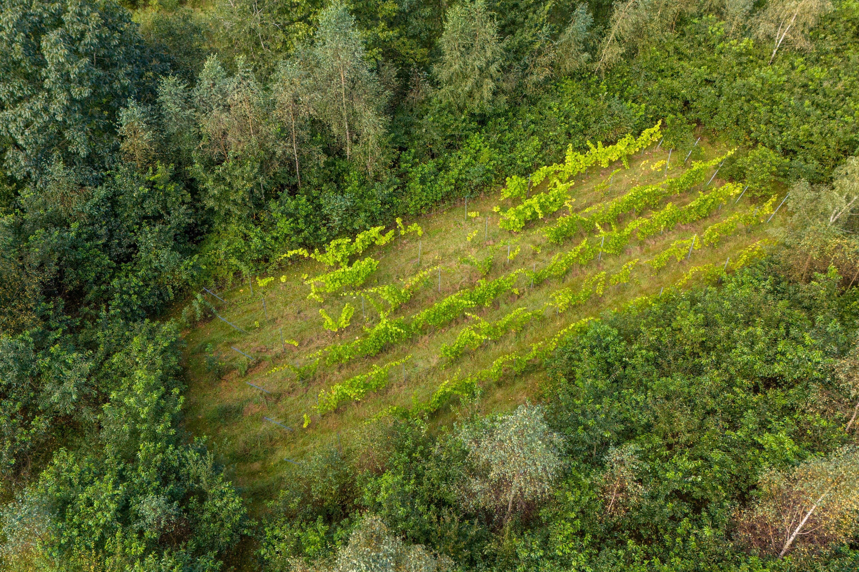 Fremhævet luftfoto billede i fuldskærmstilstand. Billede af Koldingvej 86, Vester Nebel, 6040 Egtved