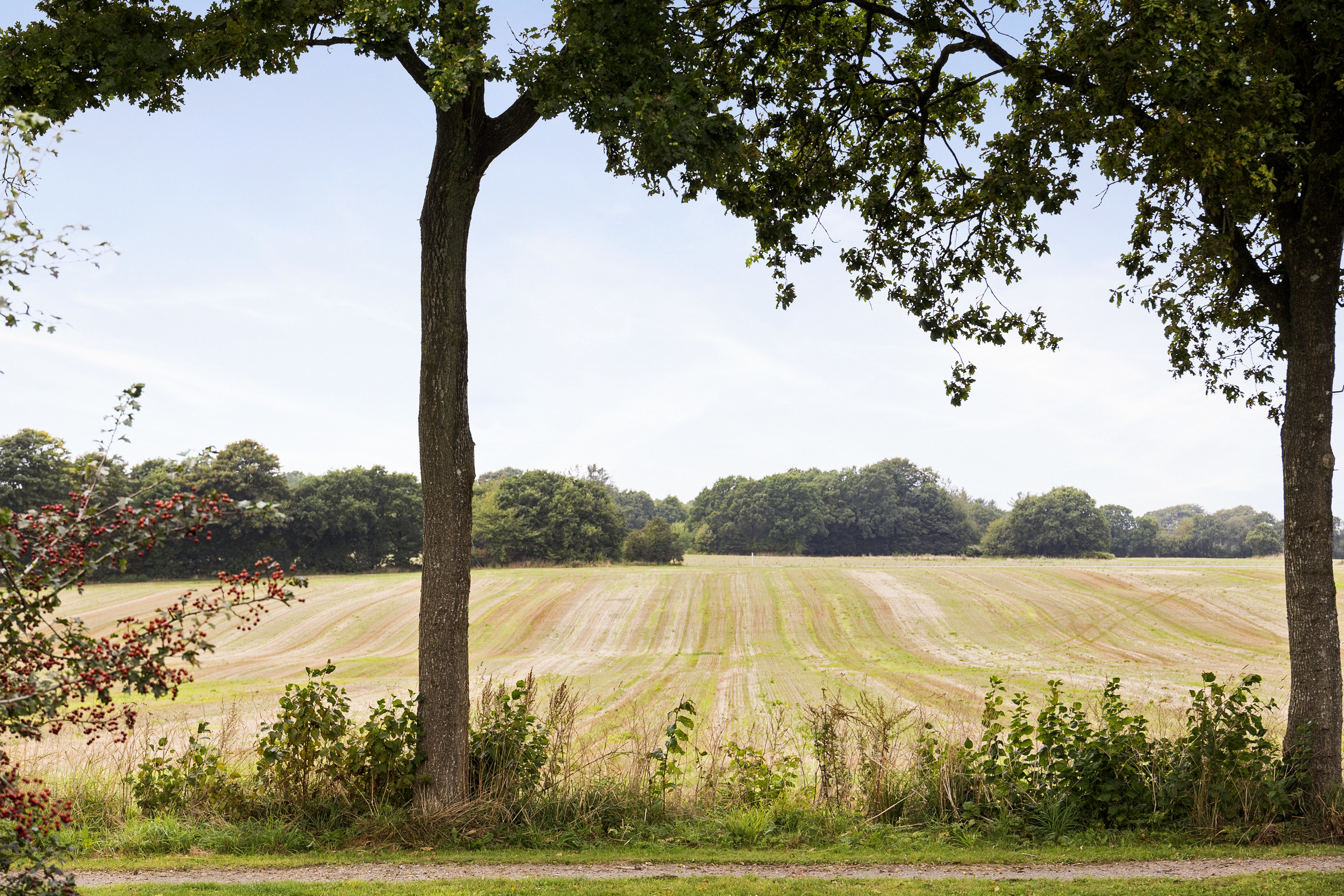 Miniaturebillede 1: område. Billede af Vestervang 65, 6650 Brørup