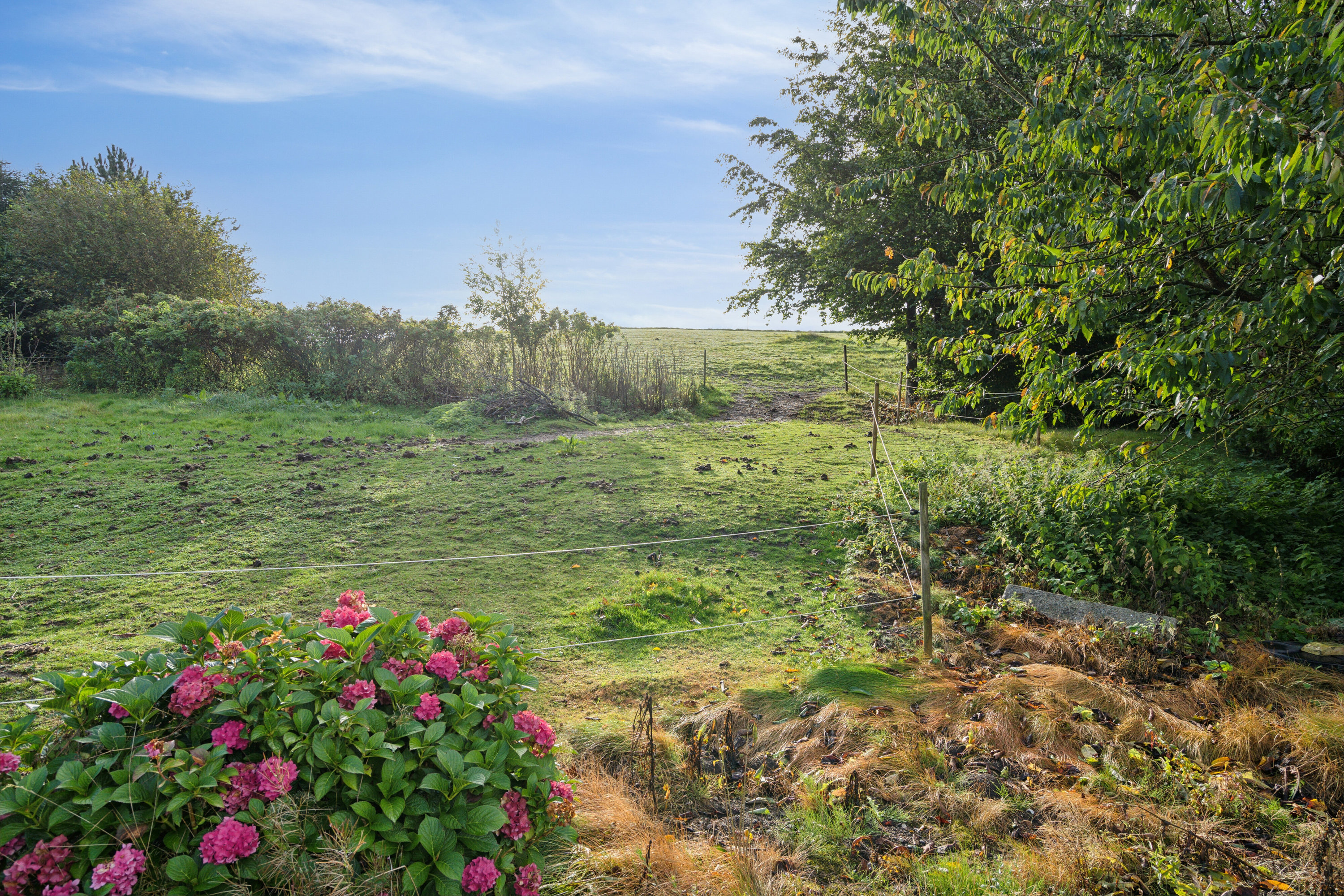 Fremhævet udendørs billede i fuldskærmstilstand. Billede af Pavegyden 24, 5771 Stenstrup