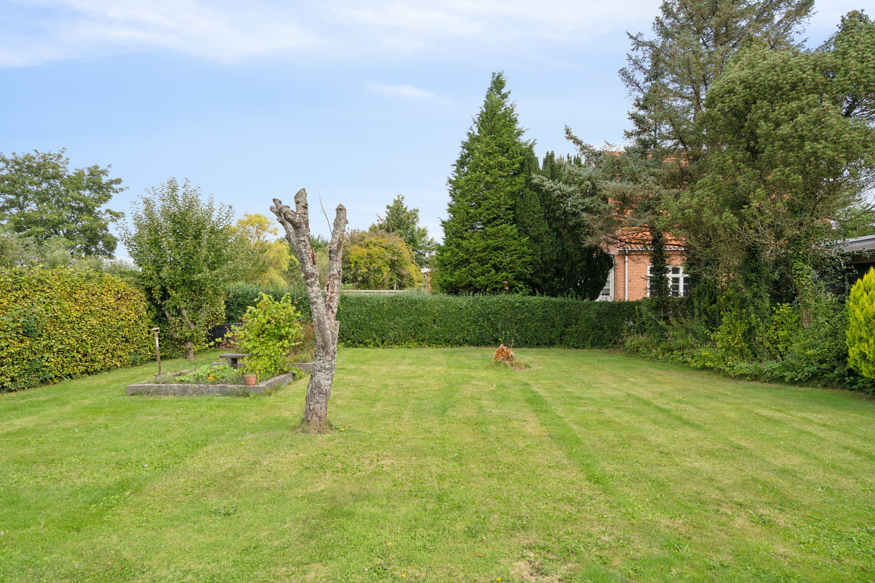 Miniaturebillede 1: have. Billede af Torvegade 17, 4690 Haslev