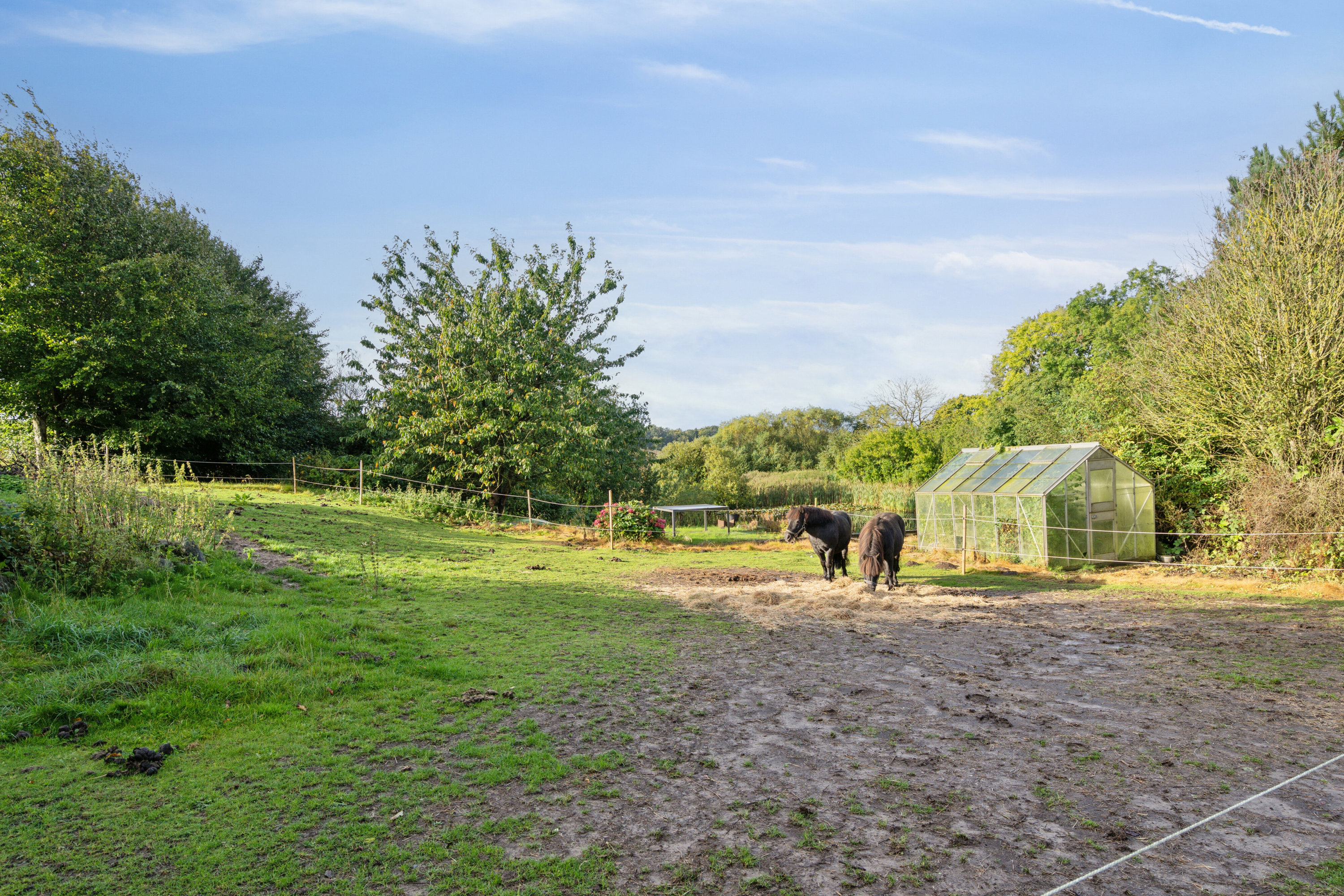 Fremhævet udendørs billede i fuldskærmstilstand. Billede af Pavegyden 24, 5771 Stenstrup