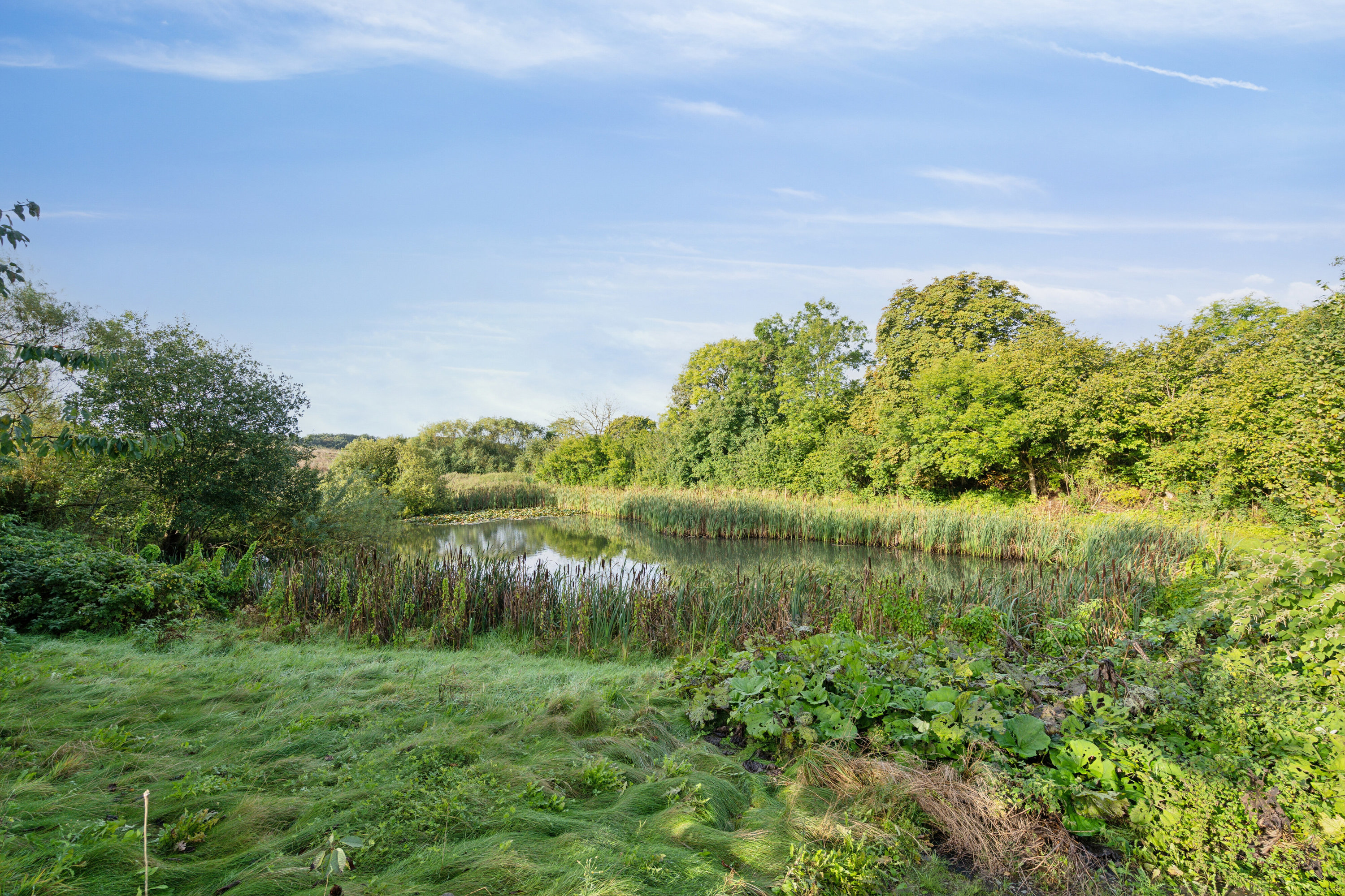 Fremhævet udendørs billede i fuldskærmstilstand. Billede af Pavegyden 24, 5771 Stenstrup