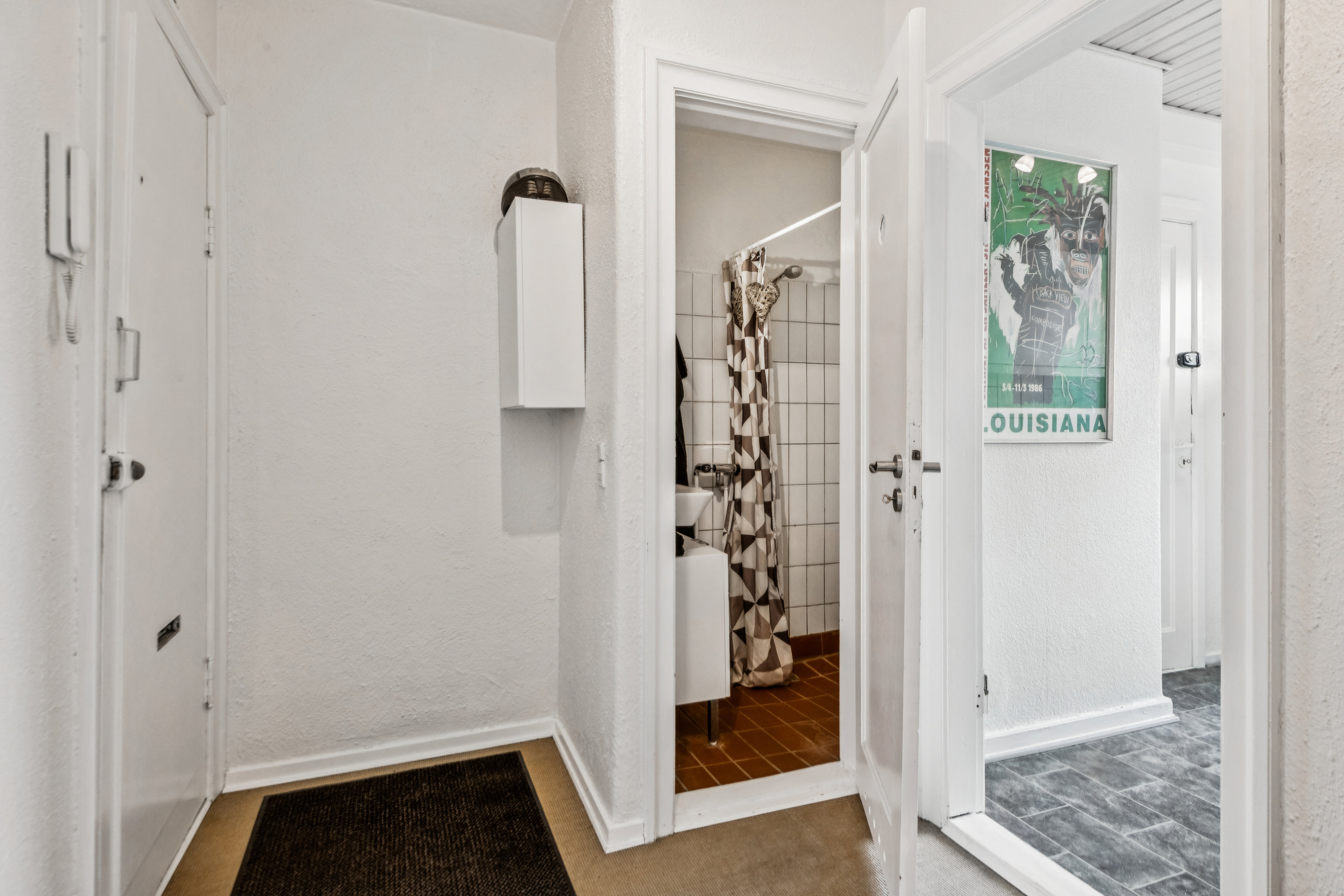 Fremhævet entré billede i fuldskærmstilstand. Billede af Willemoesgade 8, 3. th., 9000 Aalborg