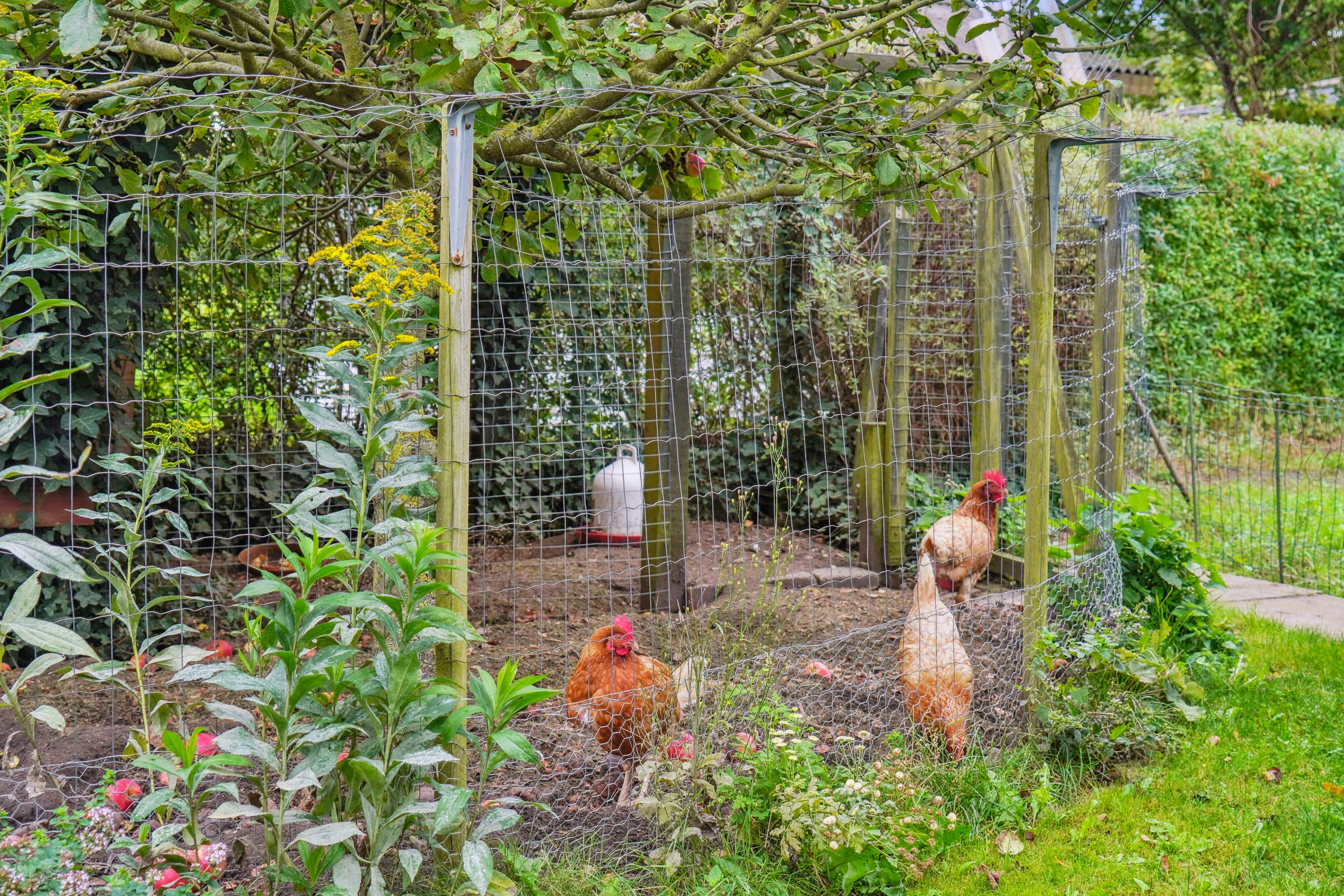 Fremhævet set fra haven billede i fuldskærmstilstand. Billede af Bakkeager 45, 4040 Jyllinge